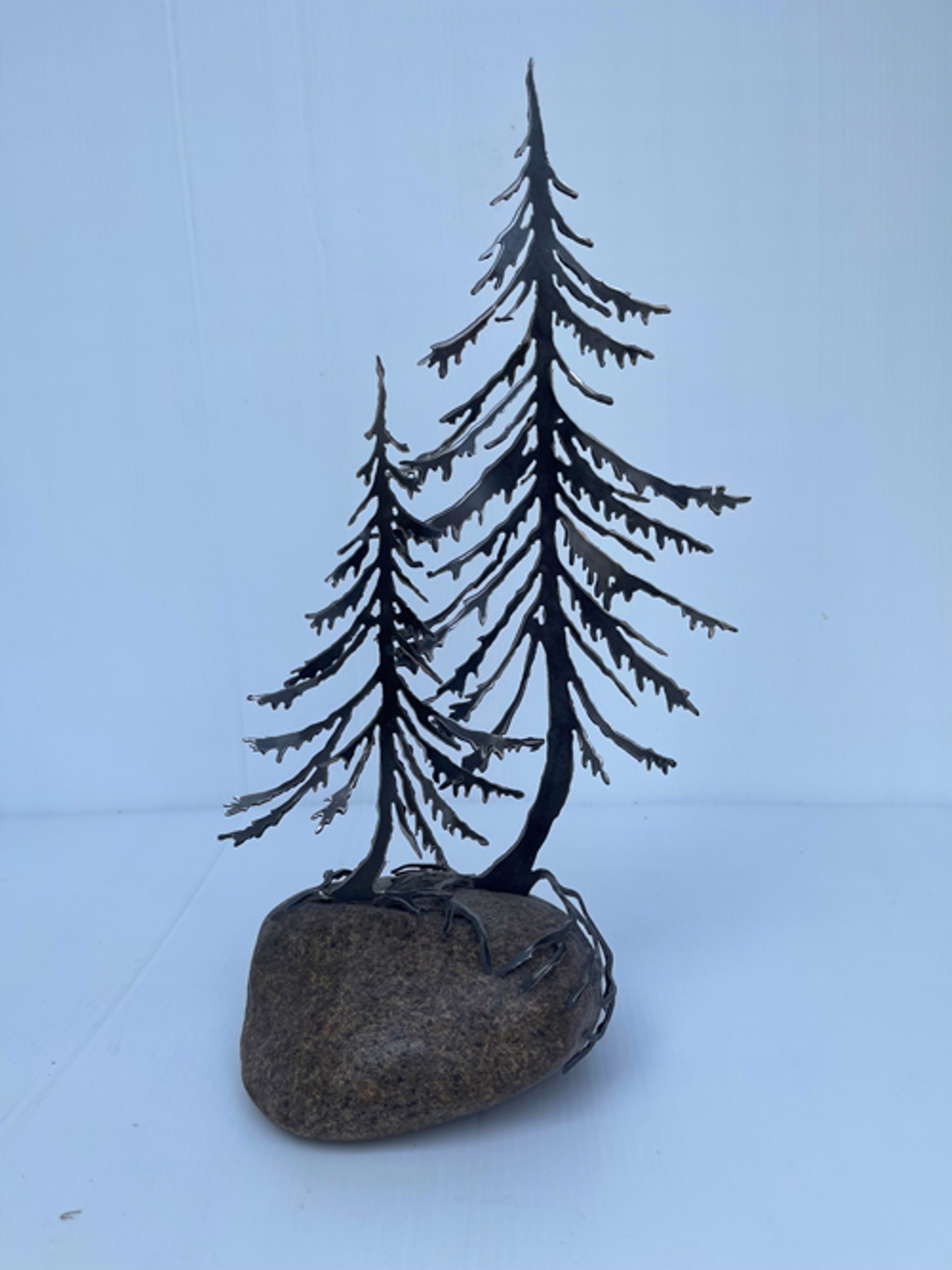 Two Jack Pine on Rock by Cathy Mark