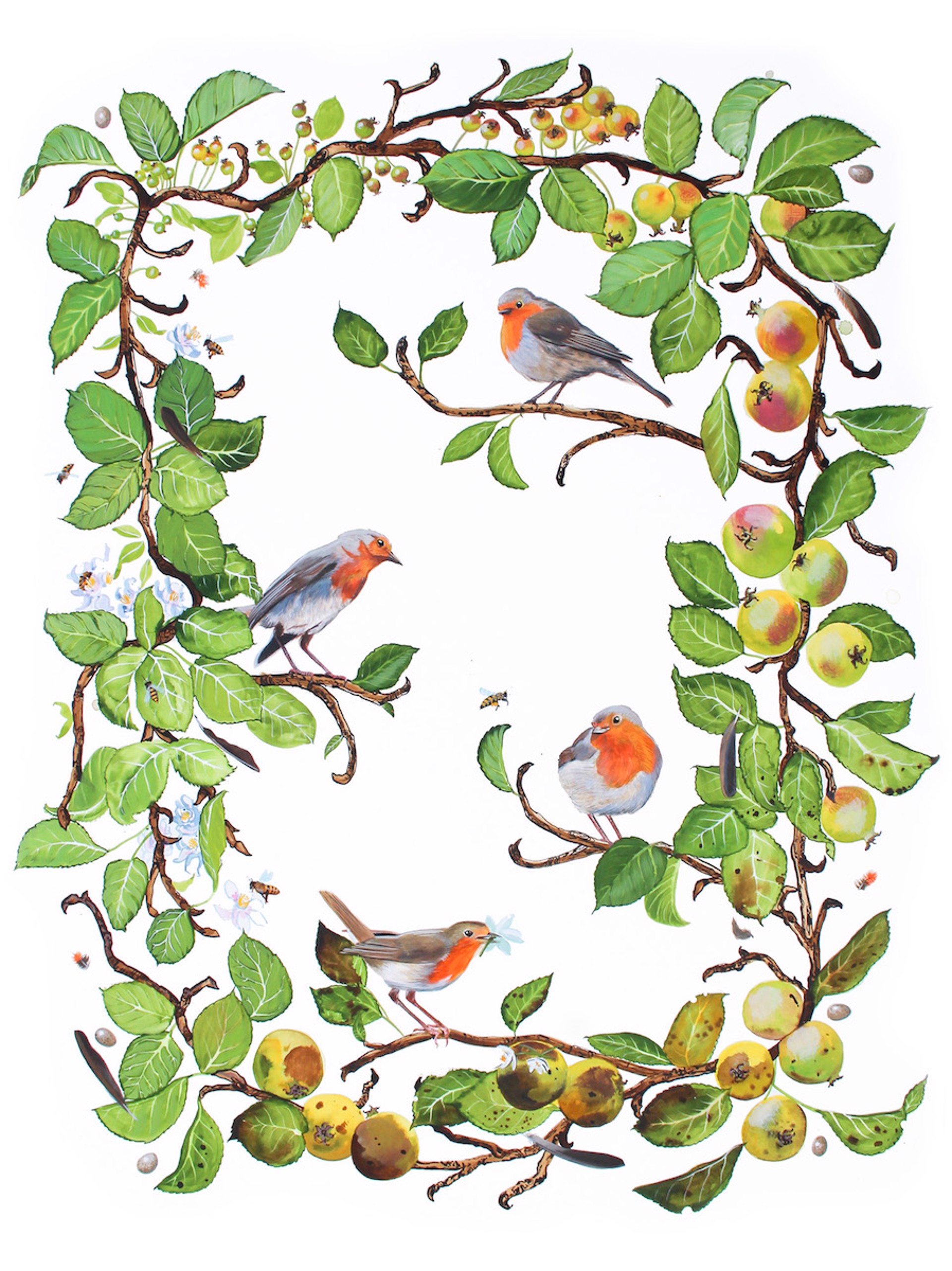 Birds of Shakespeare: European Robin (Erithacus rubecula) by Missy Dunaway