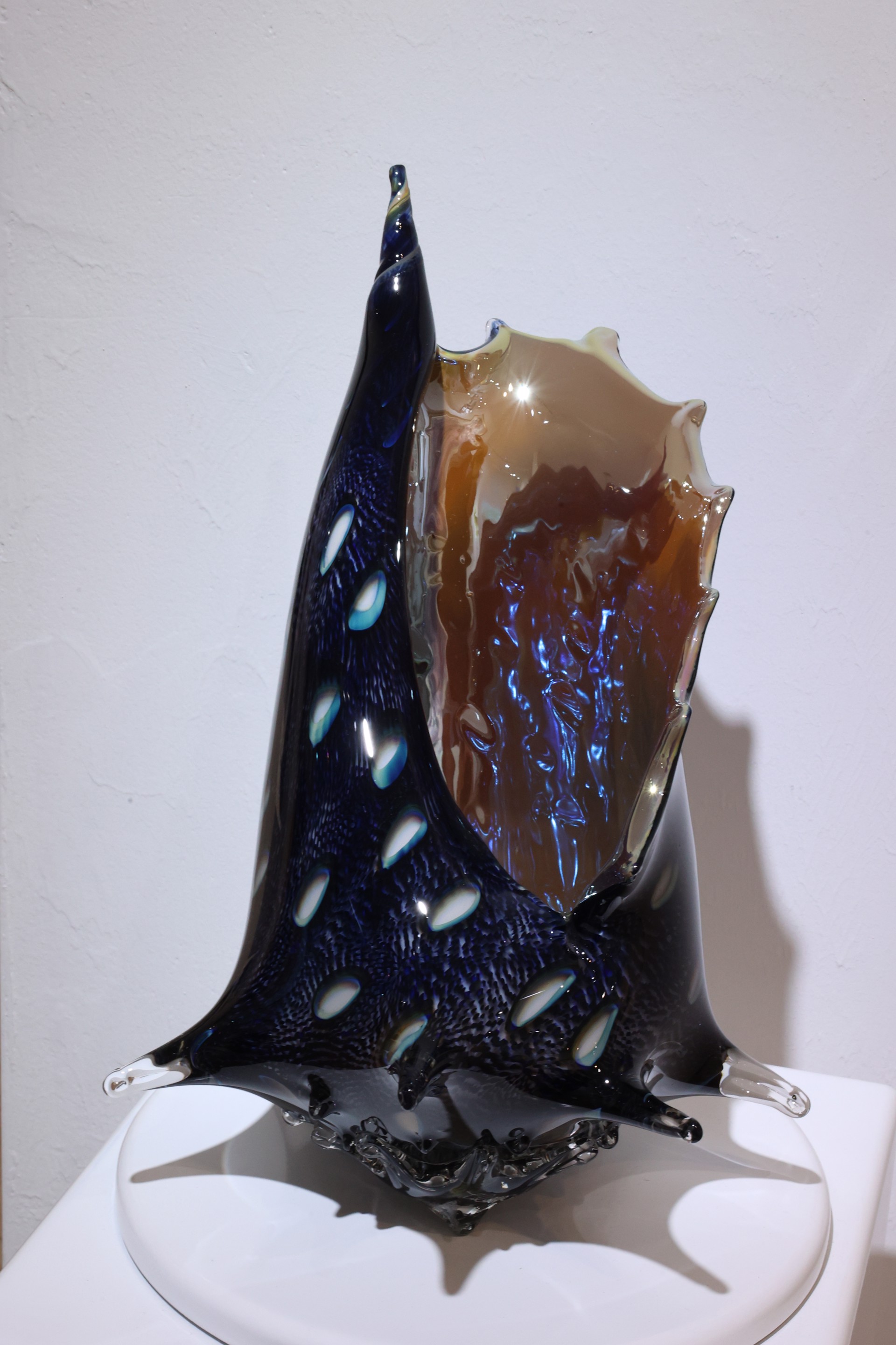 "Dark Blue Conch" by Andrew Libecki