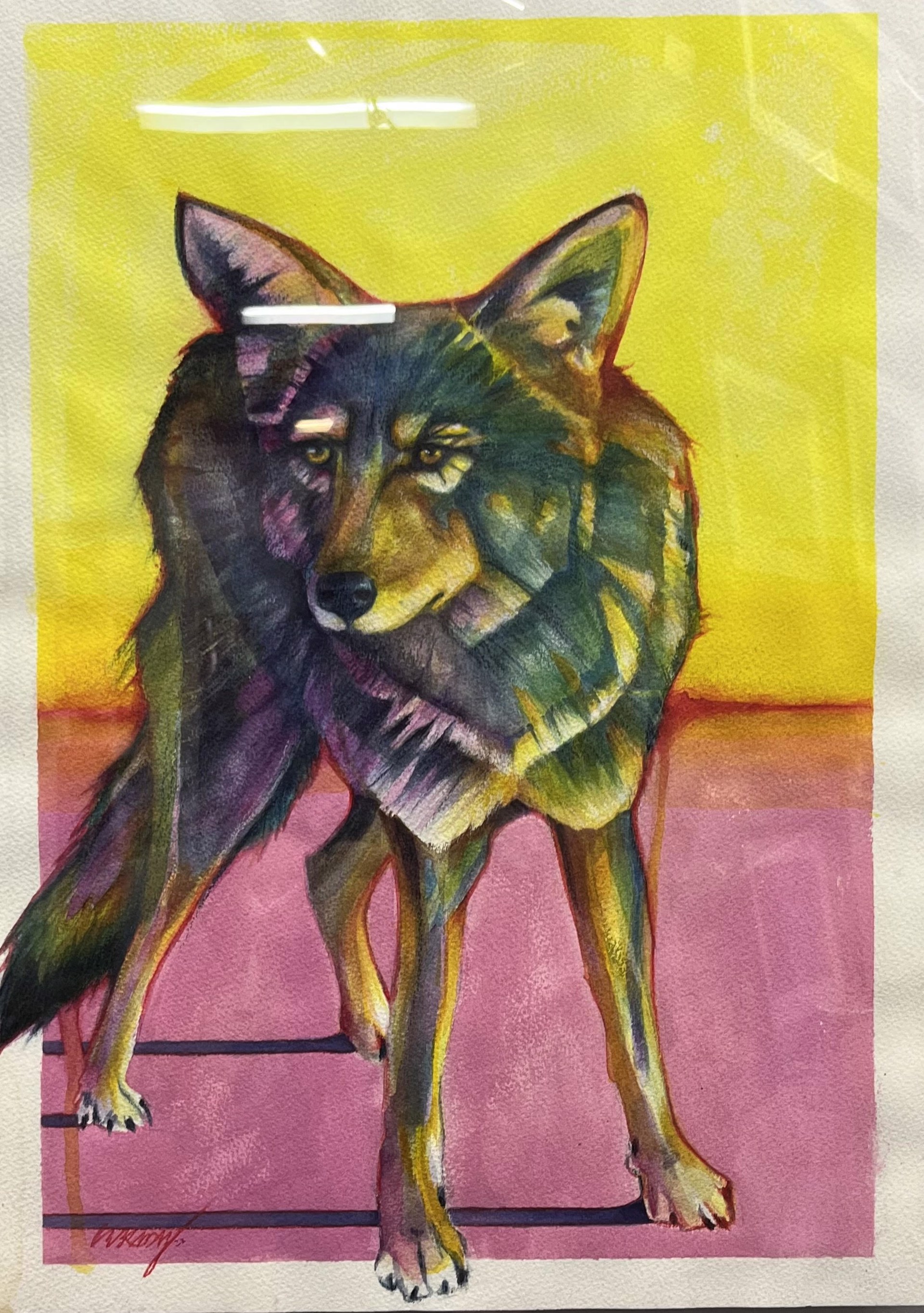 Coyote of Why? by Chad Brady