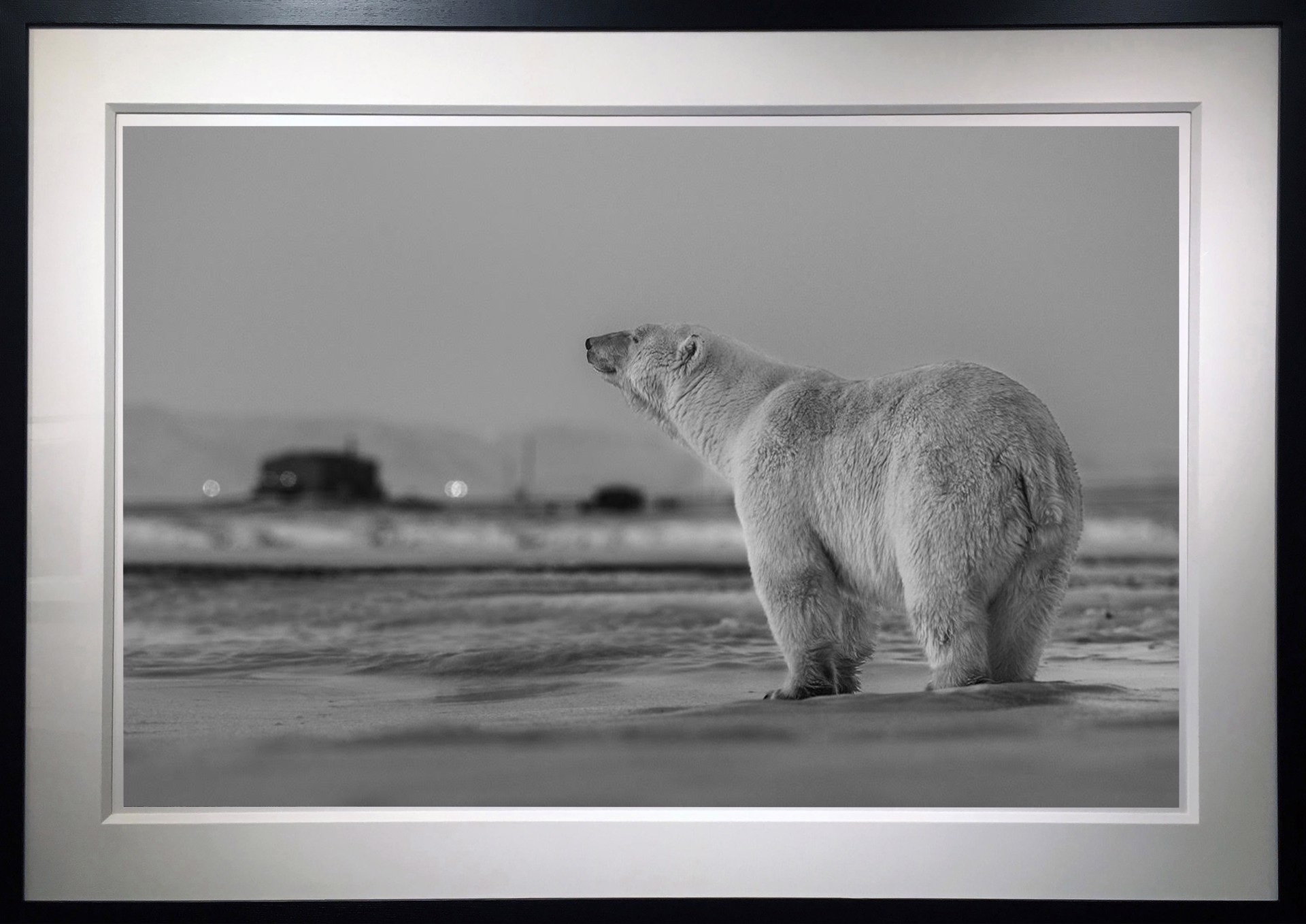 My Place or Yours by David Yarrow