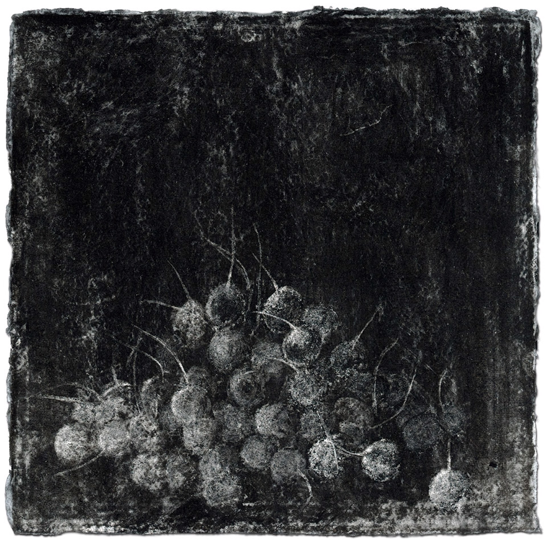 Untitled, Black Drawing #10 by Kathy Moss