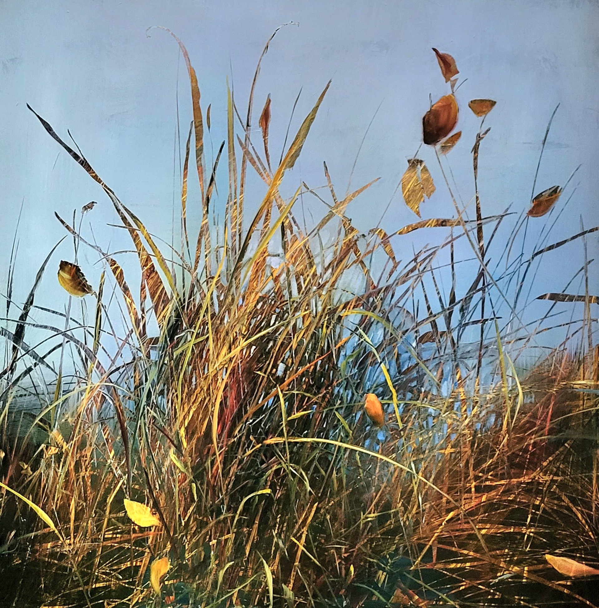 November Pond Life by David Dunlop