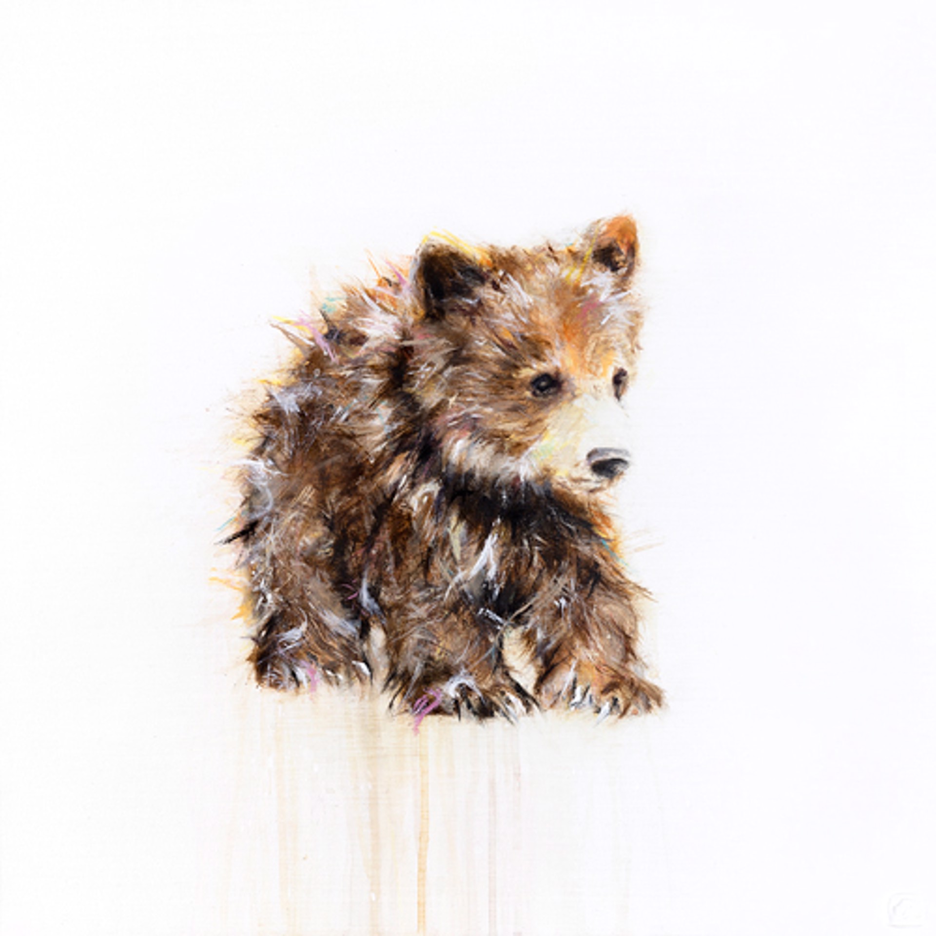 Grizzly Bear XV by Myriam Rousseau