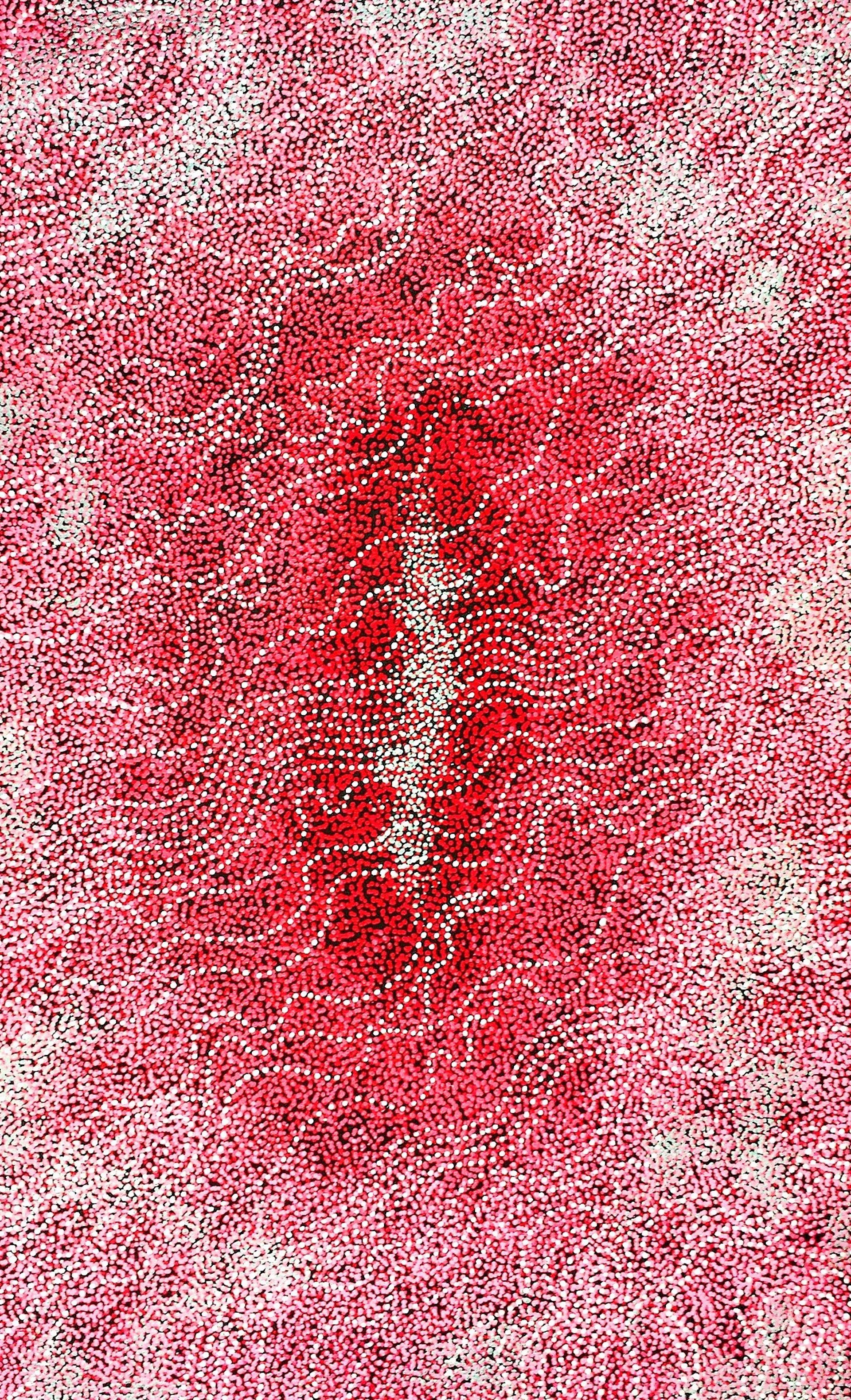 Pink Salt Lakes by Australian Aboriginal Artists
