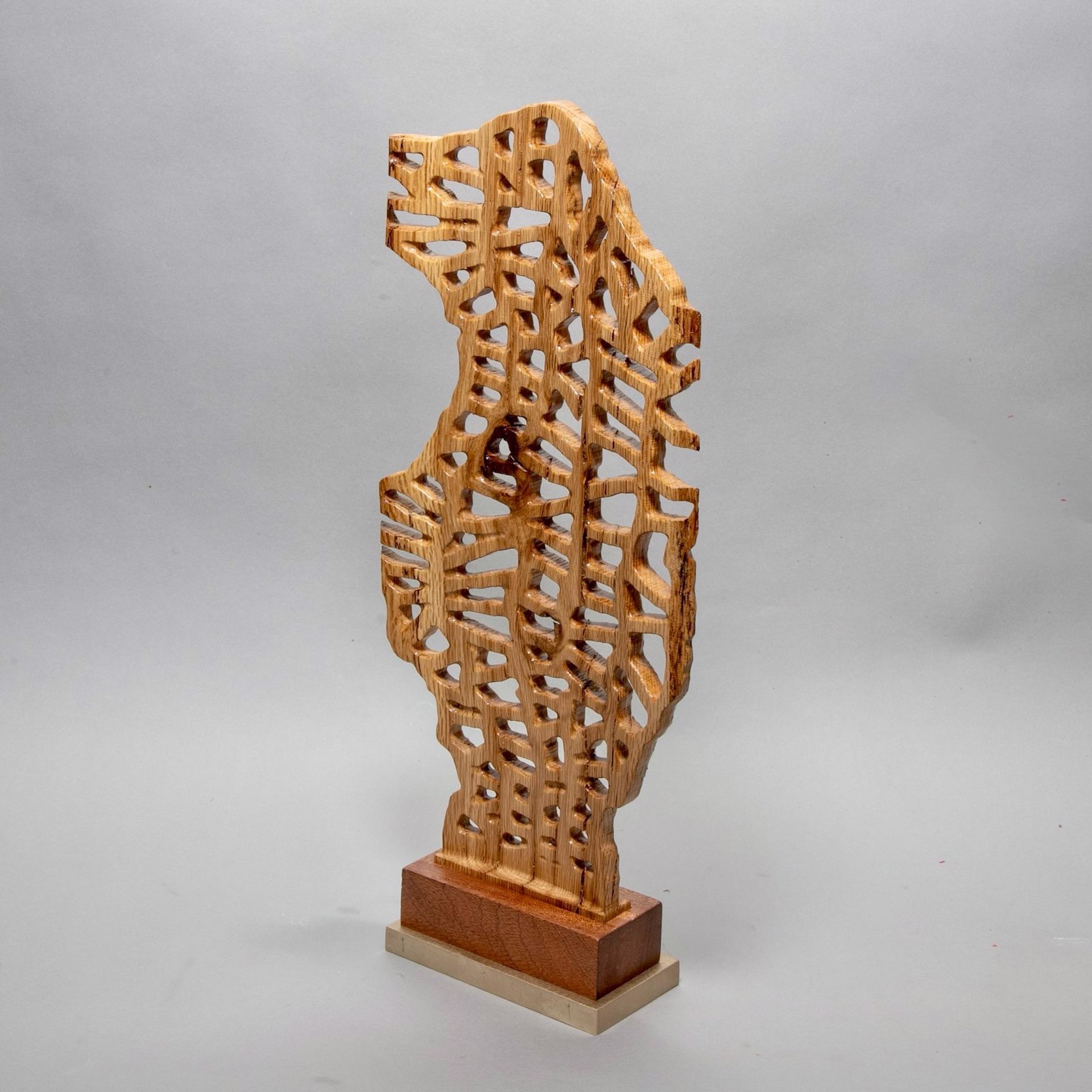 Venation #1 by Dana Younger