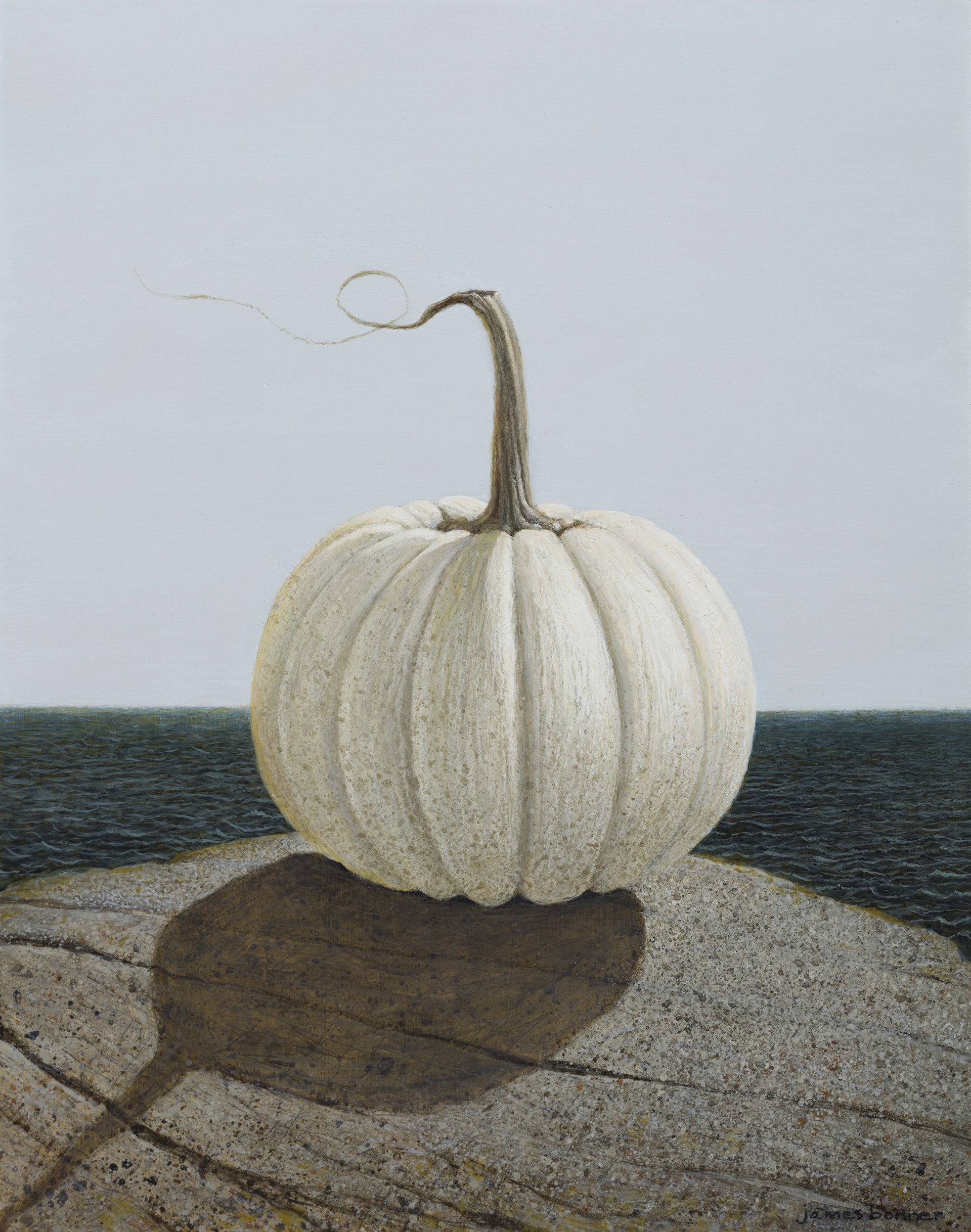 White Sea Pumpkin by James Bonner
