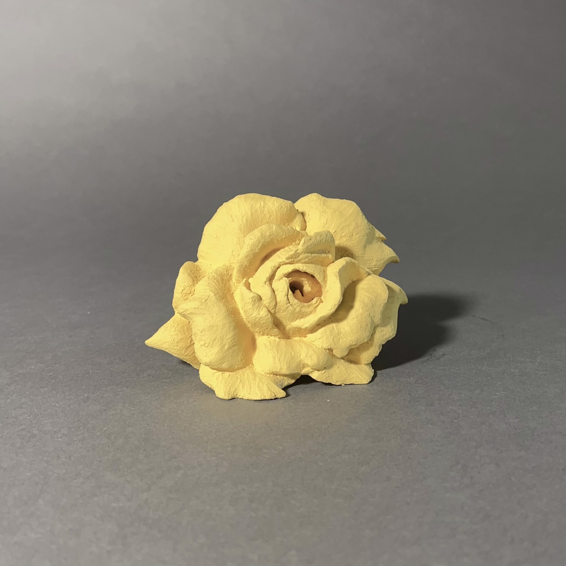 Small Yellow Rose by Amanda Wood