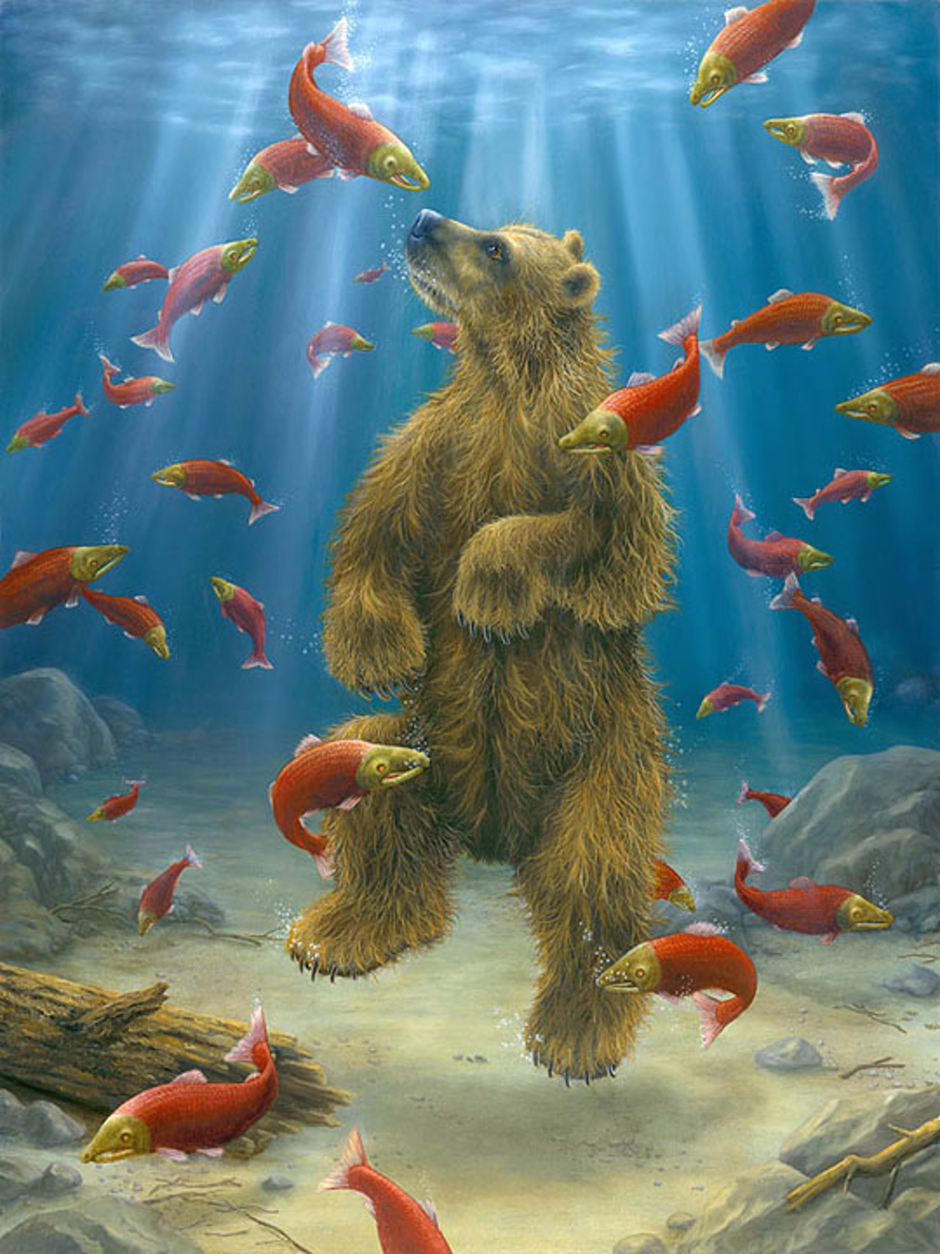 The Swimmer by Robert Bissell