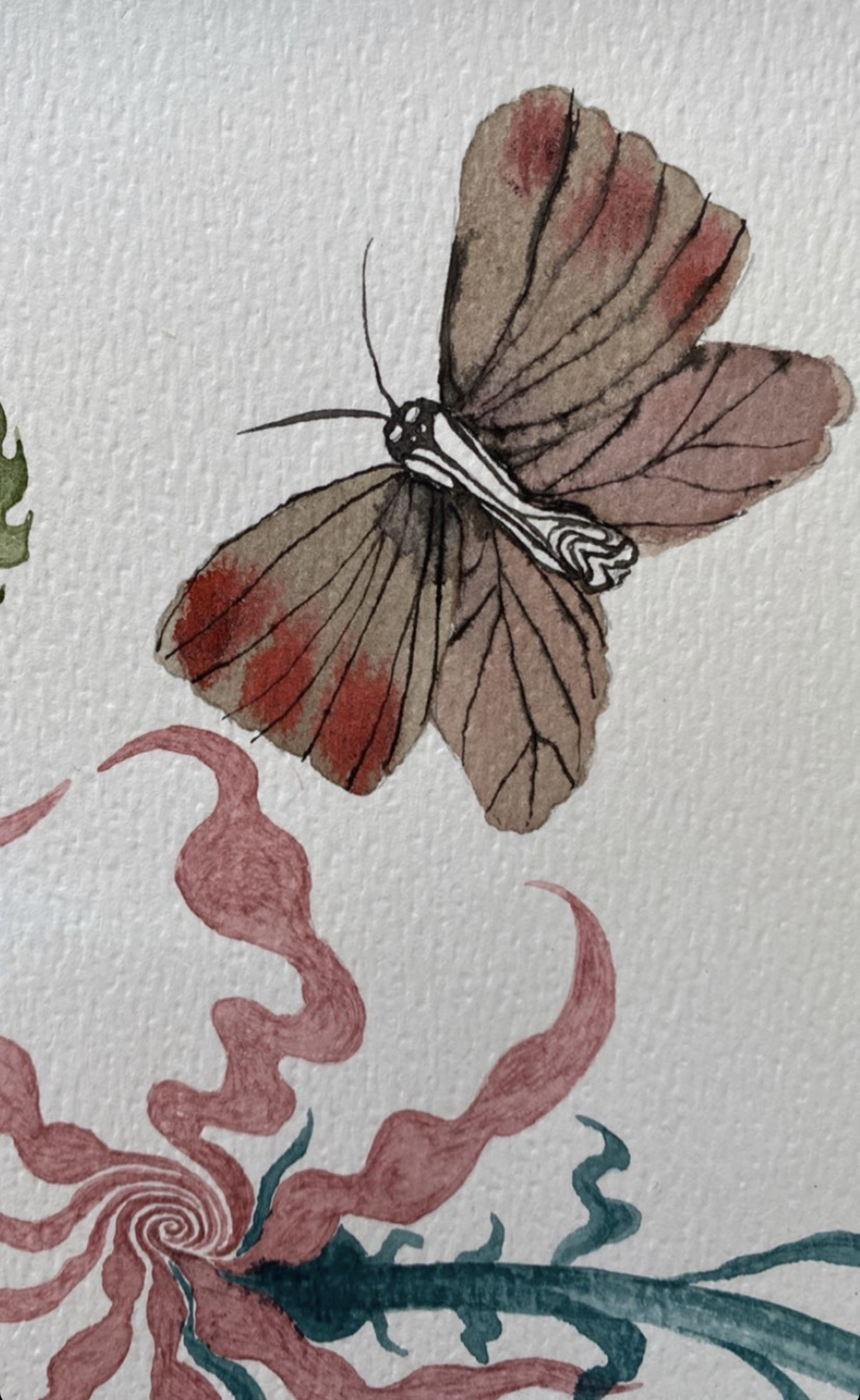 Papillon Fantastique by Alexandra Eastburn