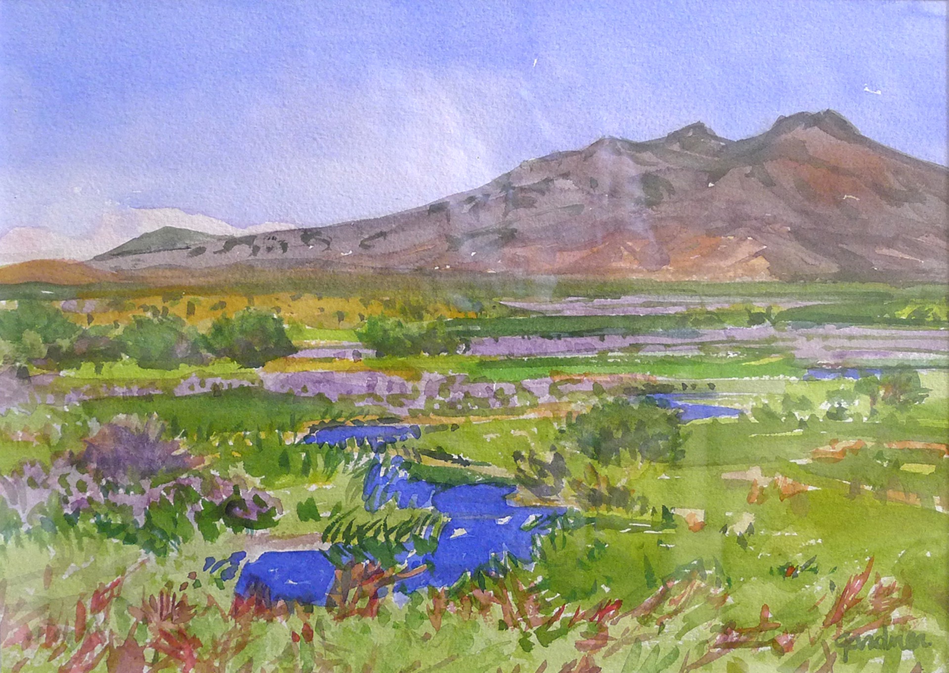 River Iris by Sheila Gardner