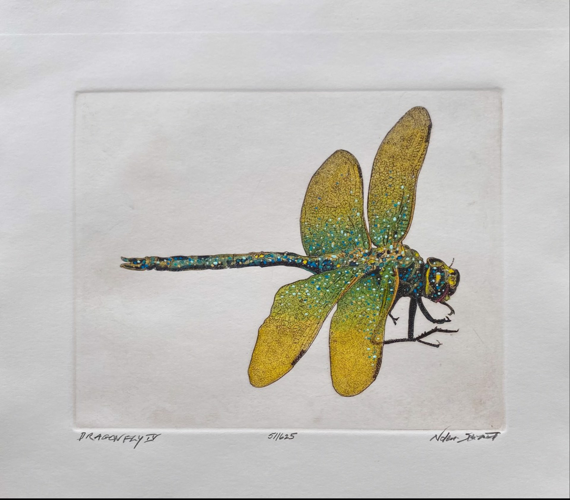 Dragonfly IV  51/625 by William Nolen-Schmidt