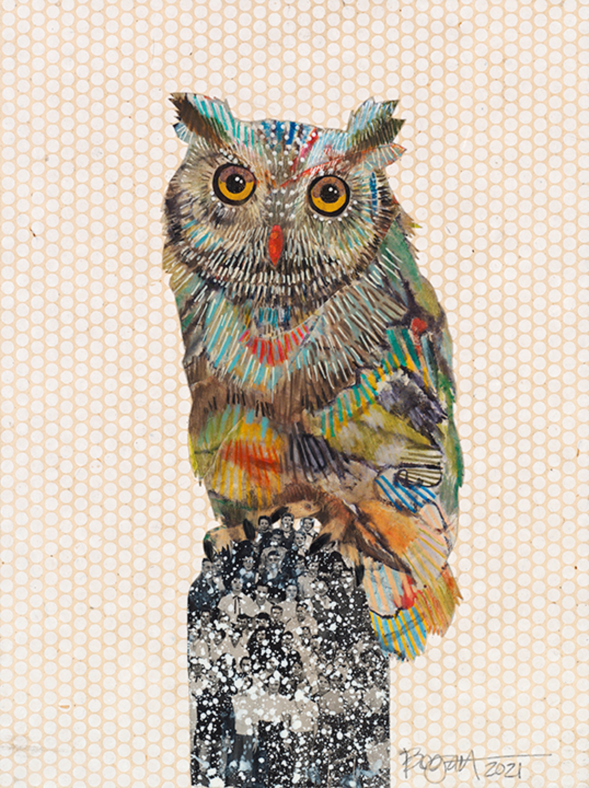 Screech Owl 7 by Brenda Bogart - Prints