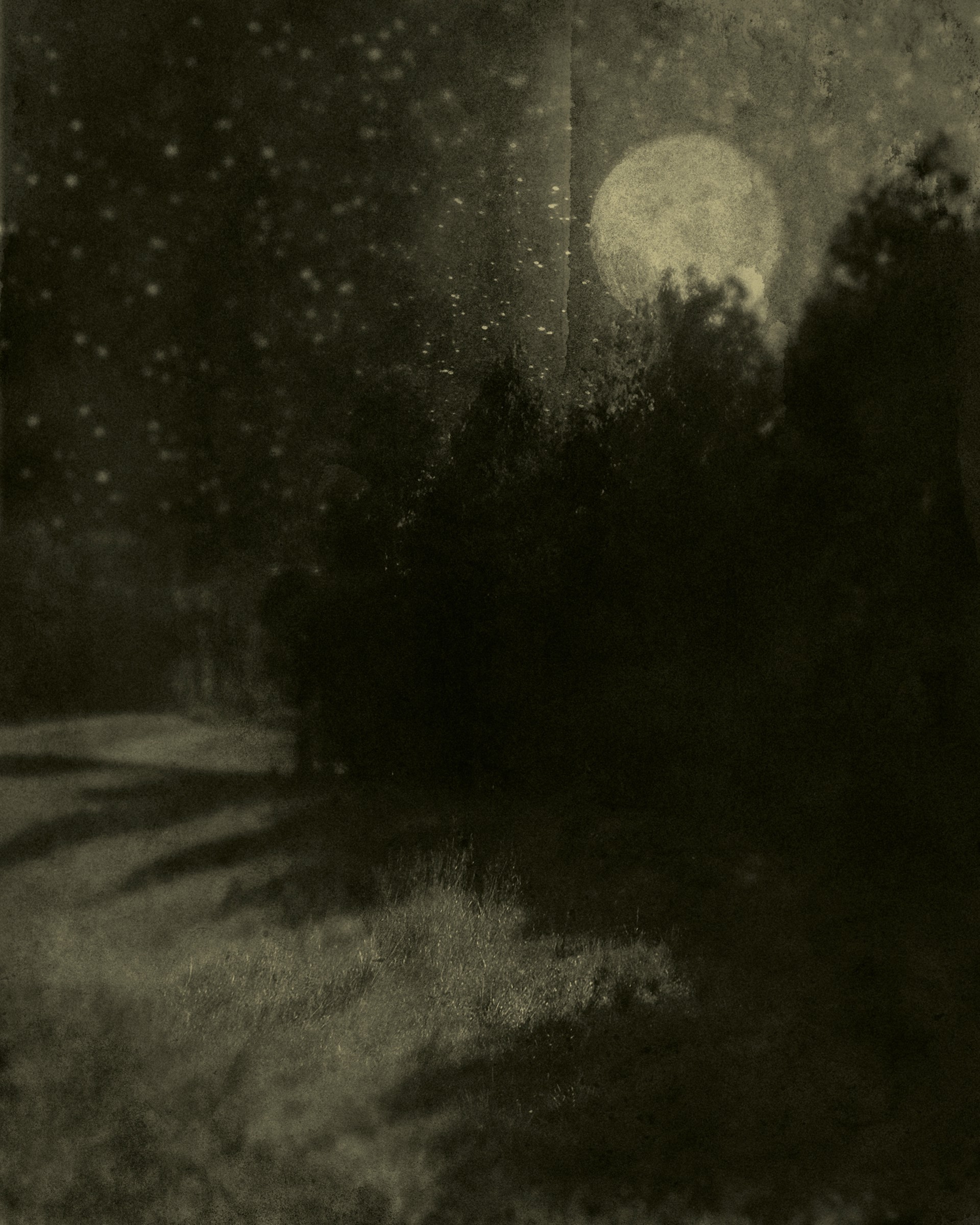 Nocturnal Landscape 88 by Ted Kincaid