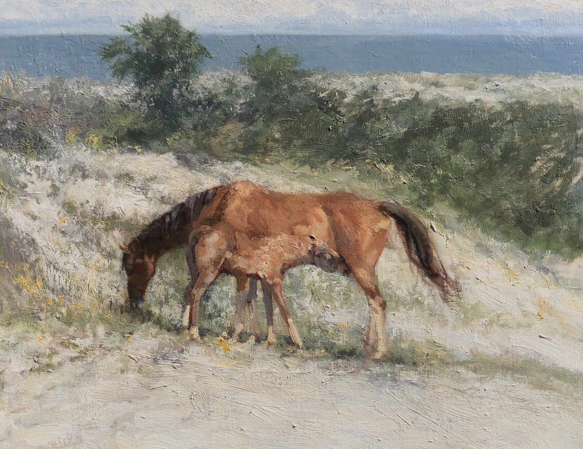Foal Nursing on the Dunes by Mitch Kolbe