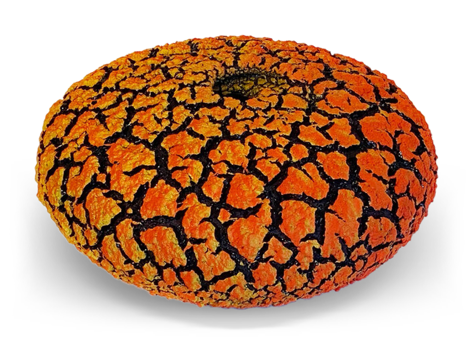 Lichen Vessel ~ Orange and Red by Randy O'Brien