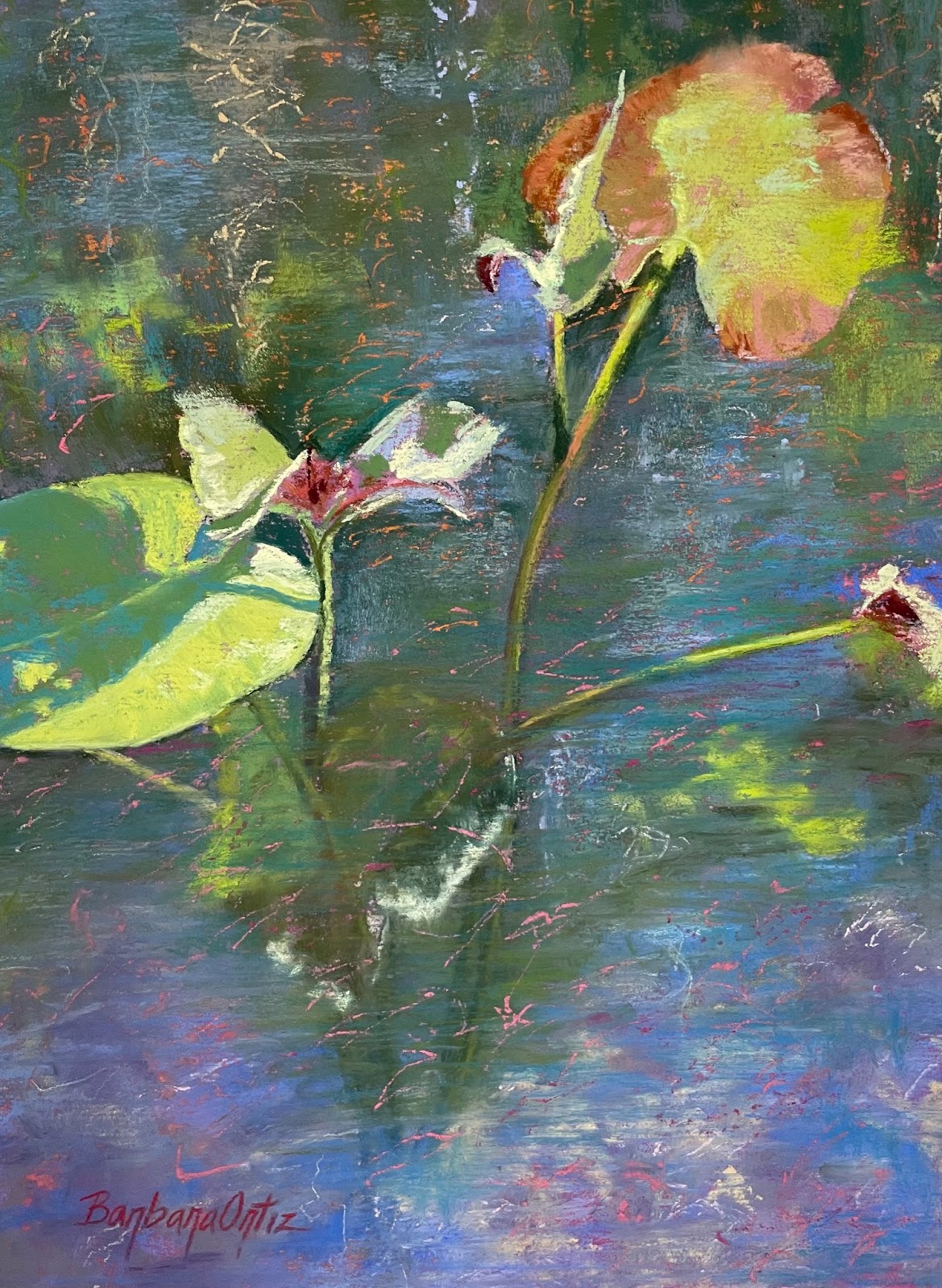Lily's Shadow by Barbara Ortiz