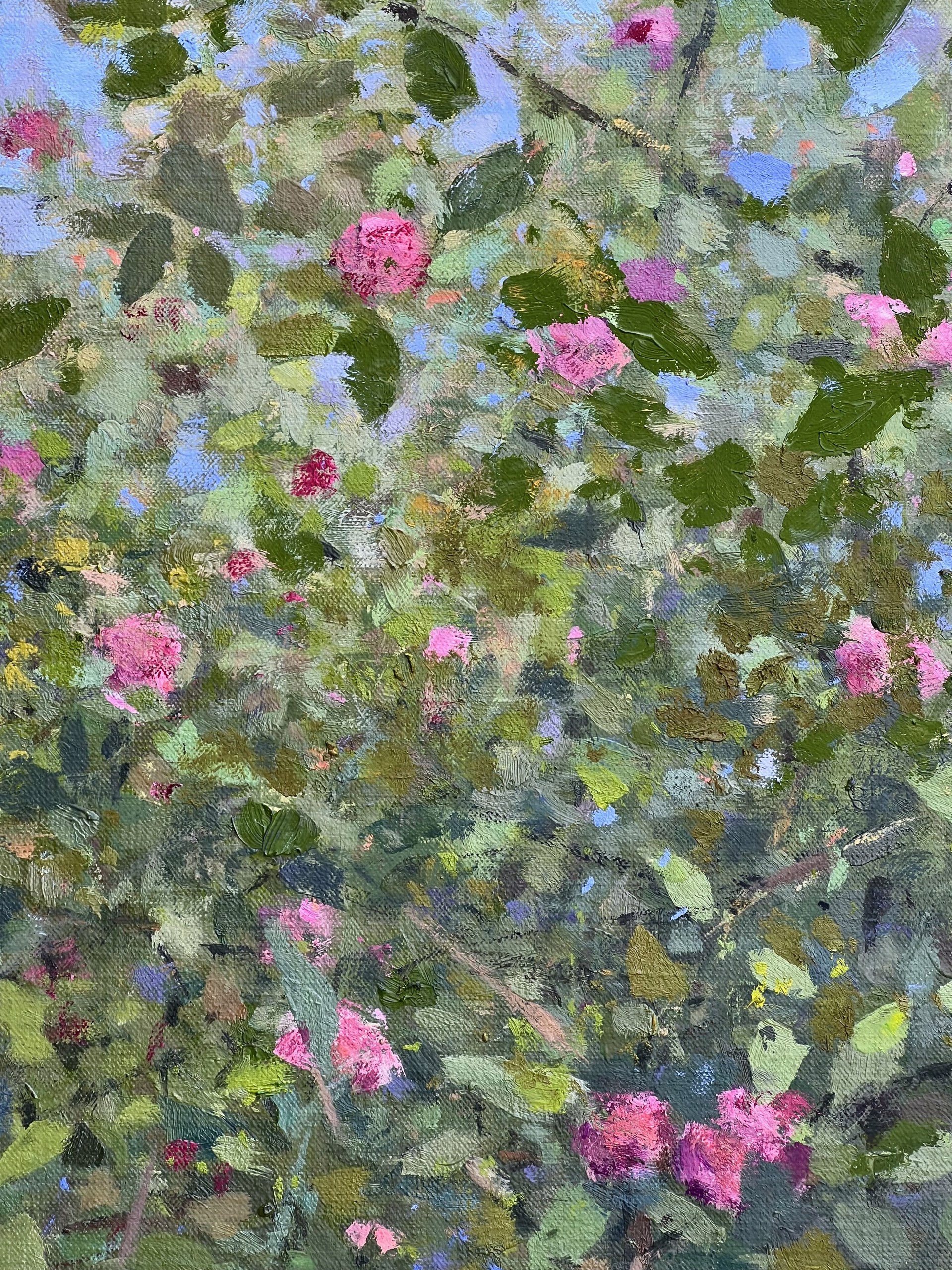 Roses behind the Garden Wall by Mathieu Weemaels