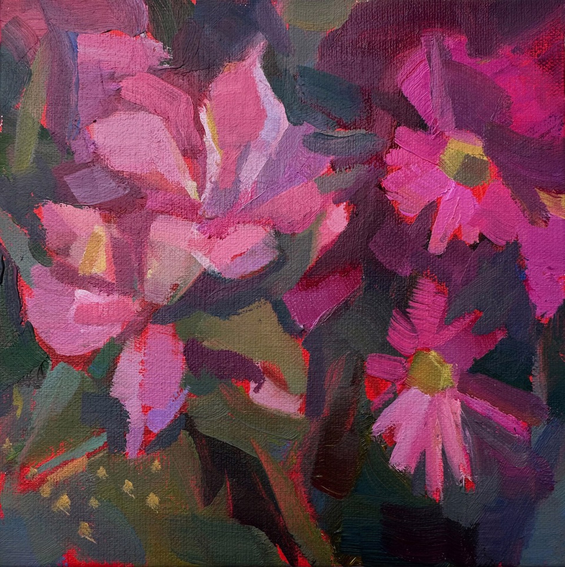 Magenta Study by Jessica Cook