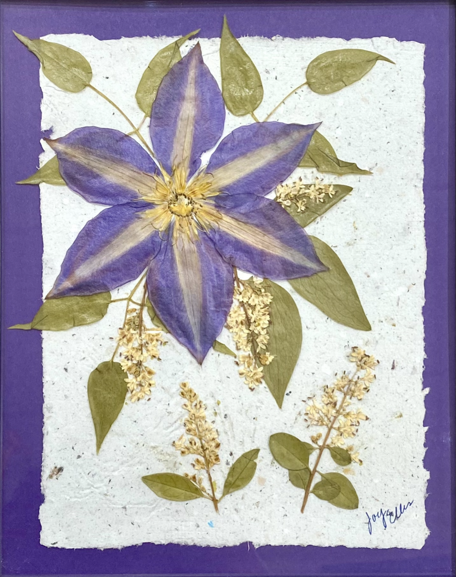 Clematis in Purple by Joy Ellis