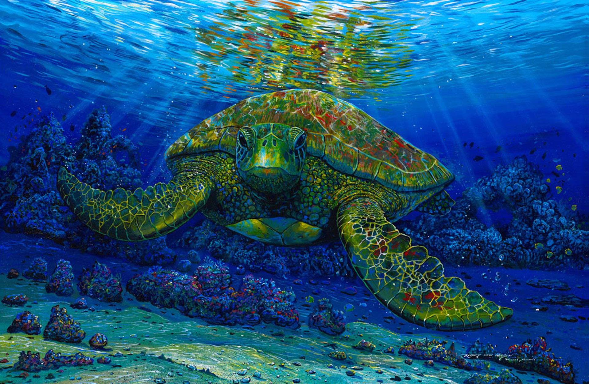 Talk Story with a Turtle by Robert Lyn Nelson
