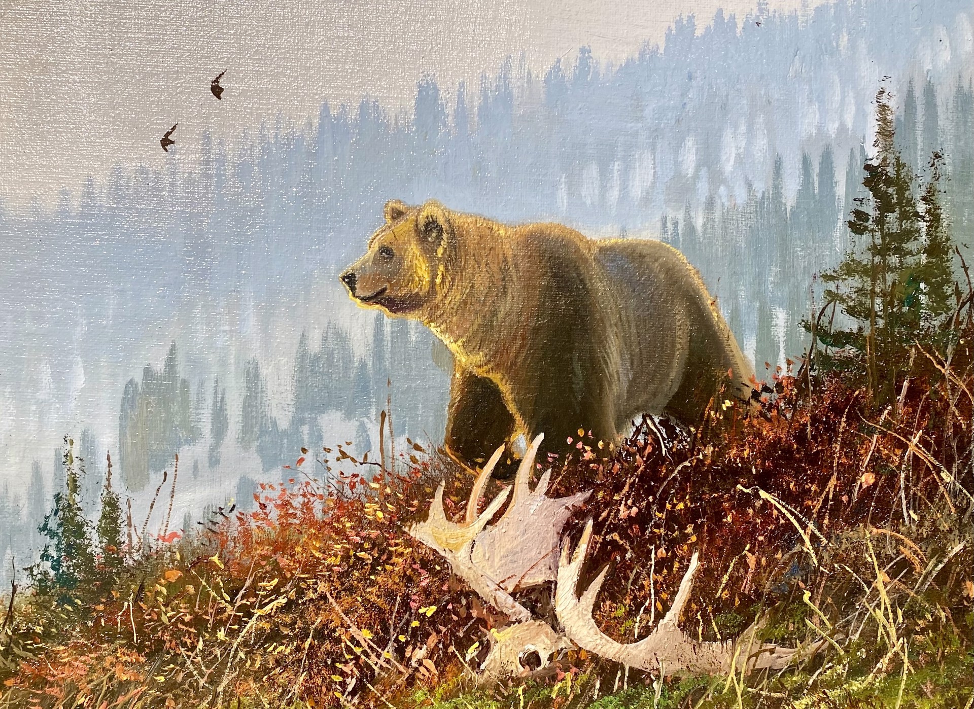 HIGH COUNTRY GRIZZLY by Nicholas Coleman