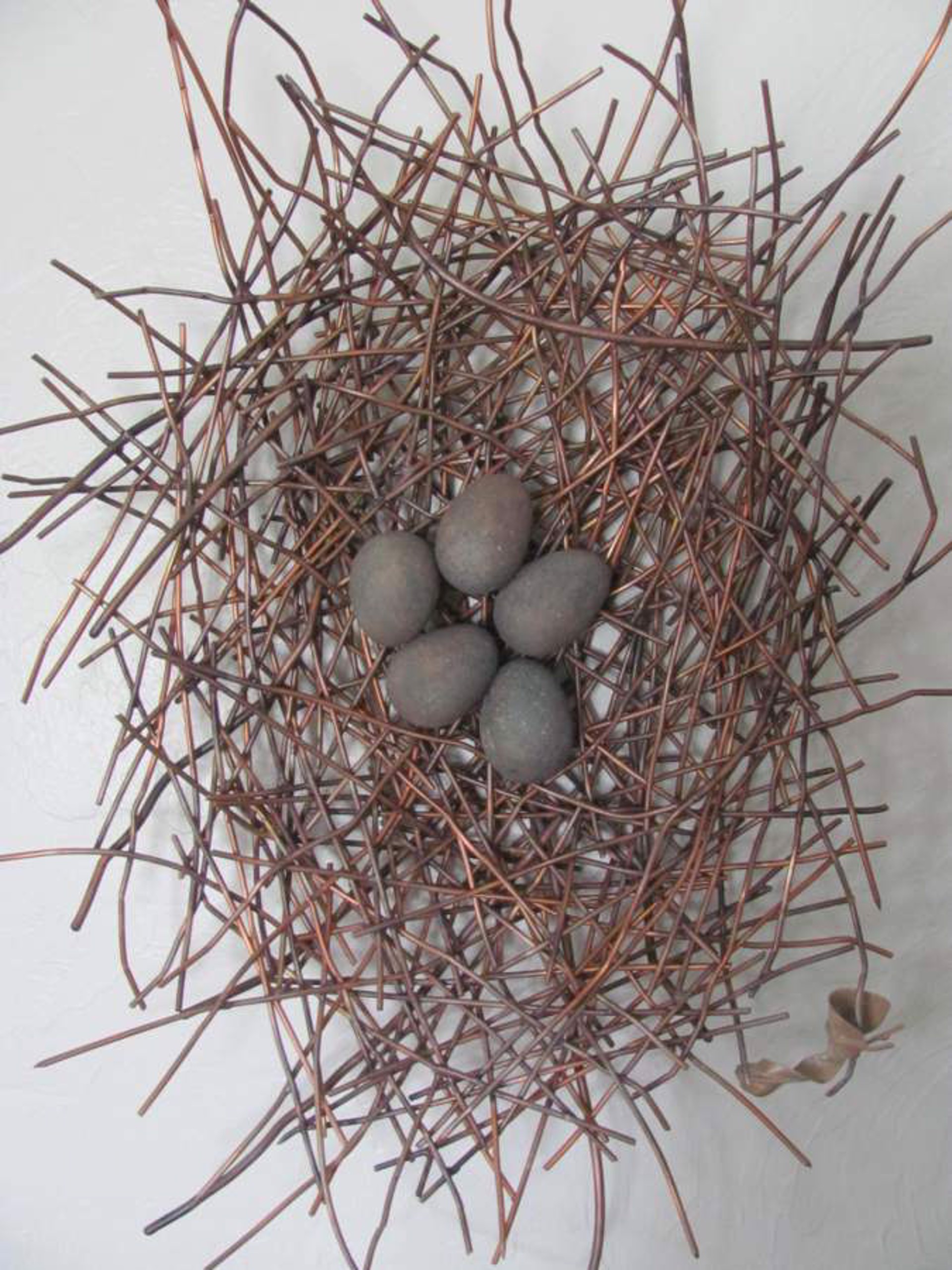 Large Green Heron Nest by Stevie Jo Lake