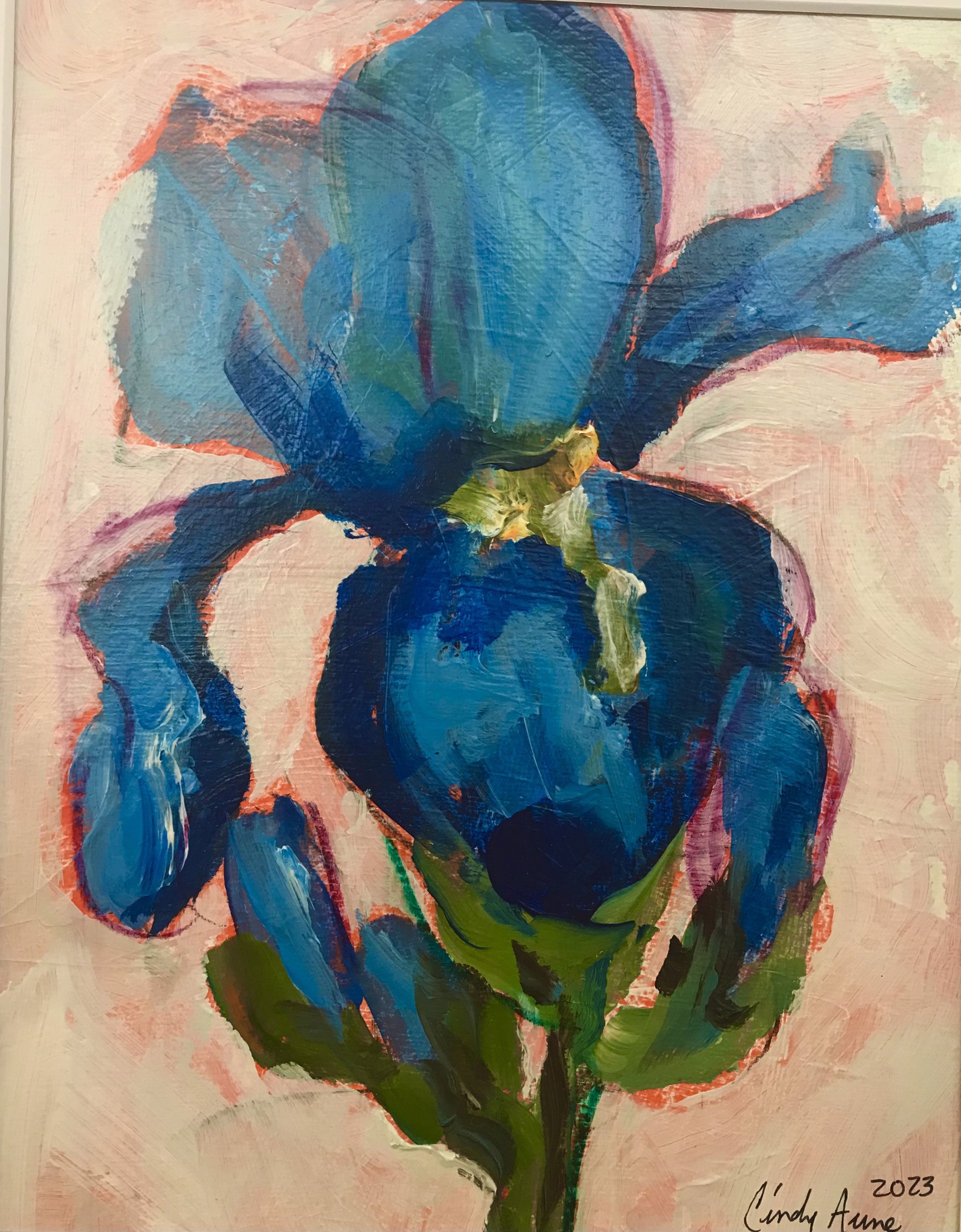 Blue Iris by Cindy Aune