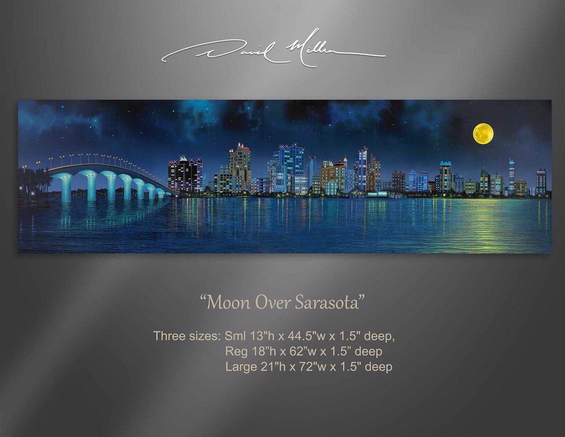 Moon Over Sarasota by David Miller