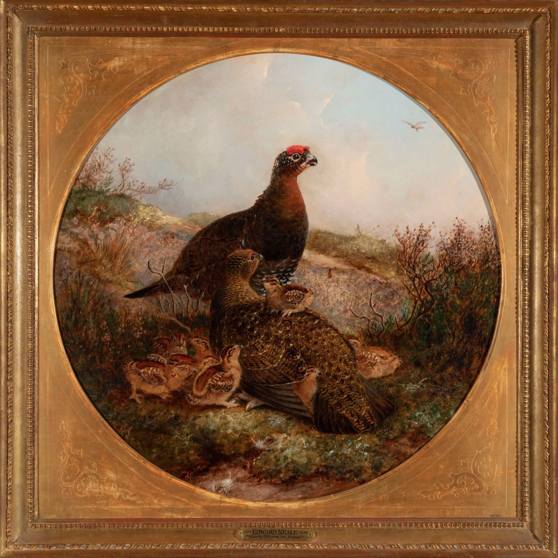 Family of Grouse by Edward Neale