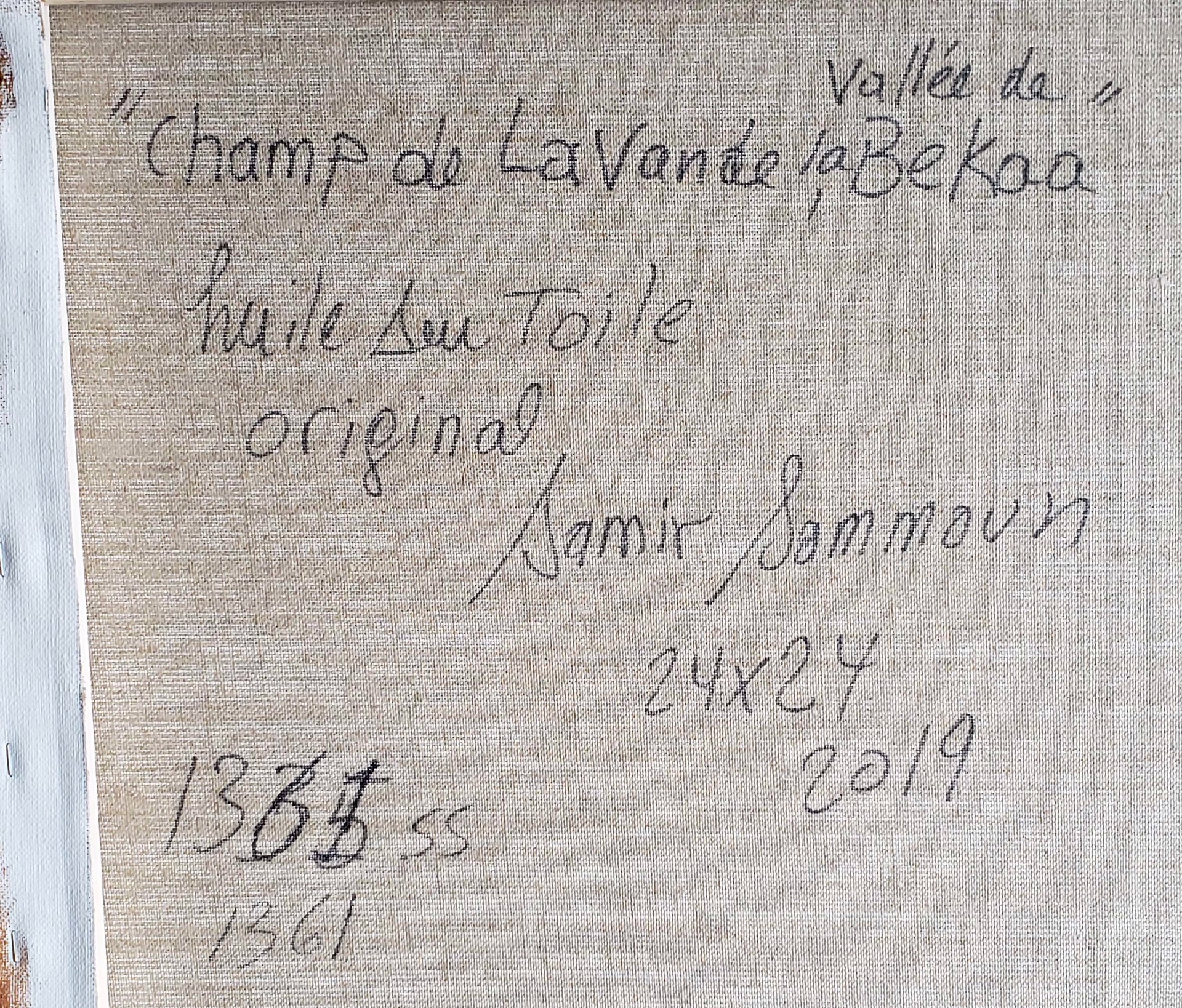 Champ de lavande by Samir Sammoun