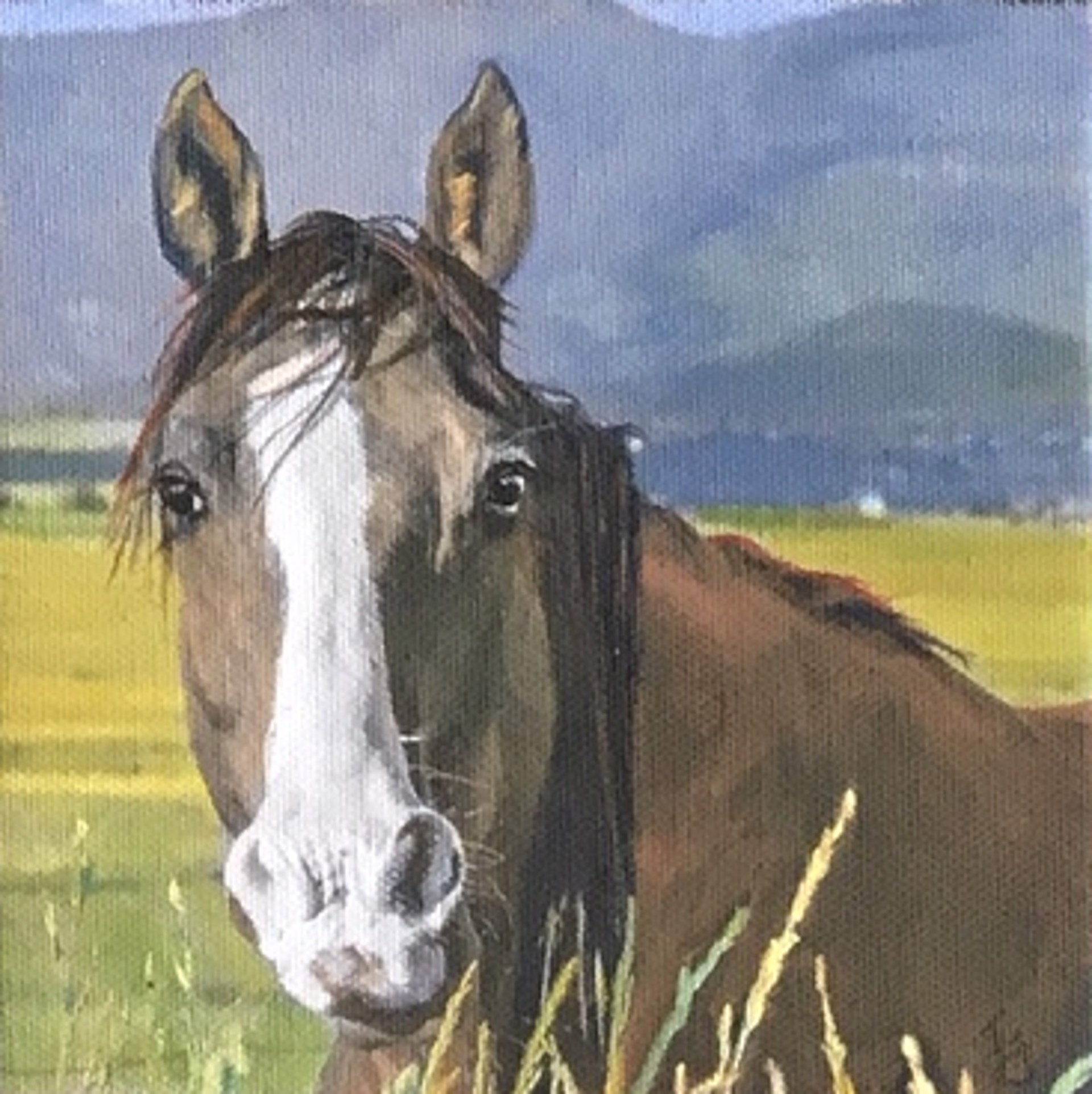 Hardy the Ranch Horse with Green Pastures 1903 by Jenny Gummersall