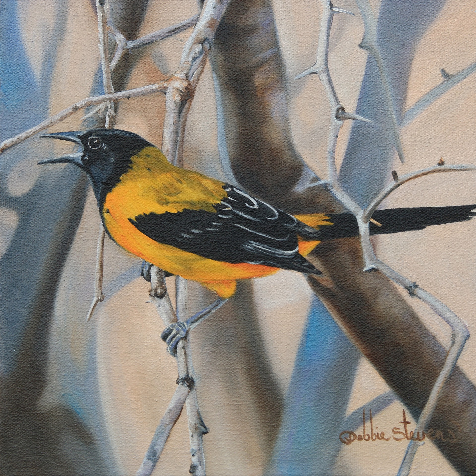 Audubon’s Oriole by Debbie Stevens