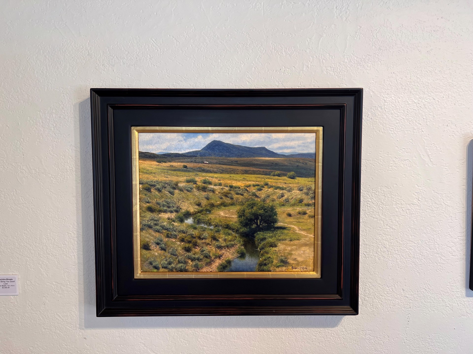 Rhythm of the Land, Elk Mountain by Joseph McGurl