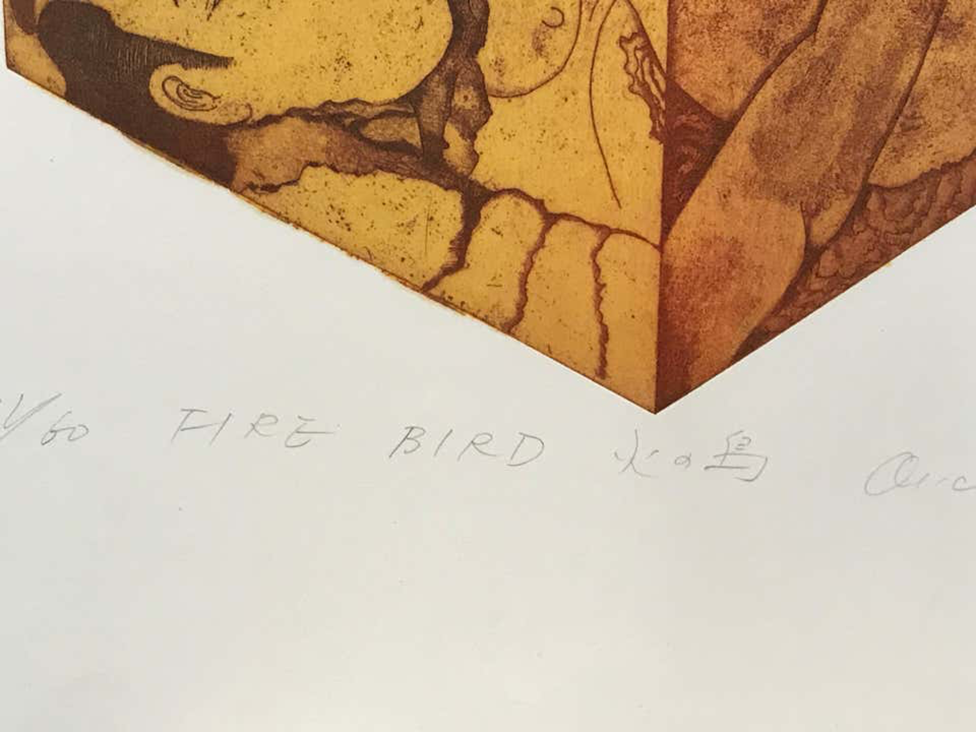 Fire Bird by Makoto Ouchi