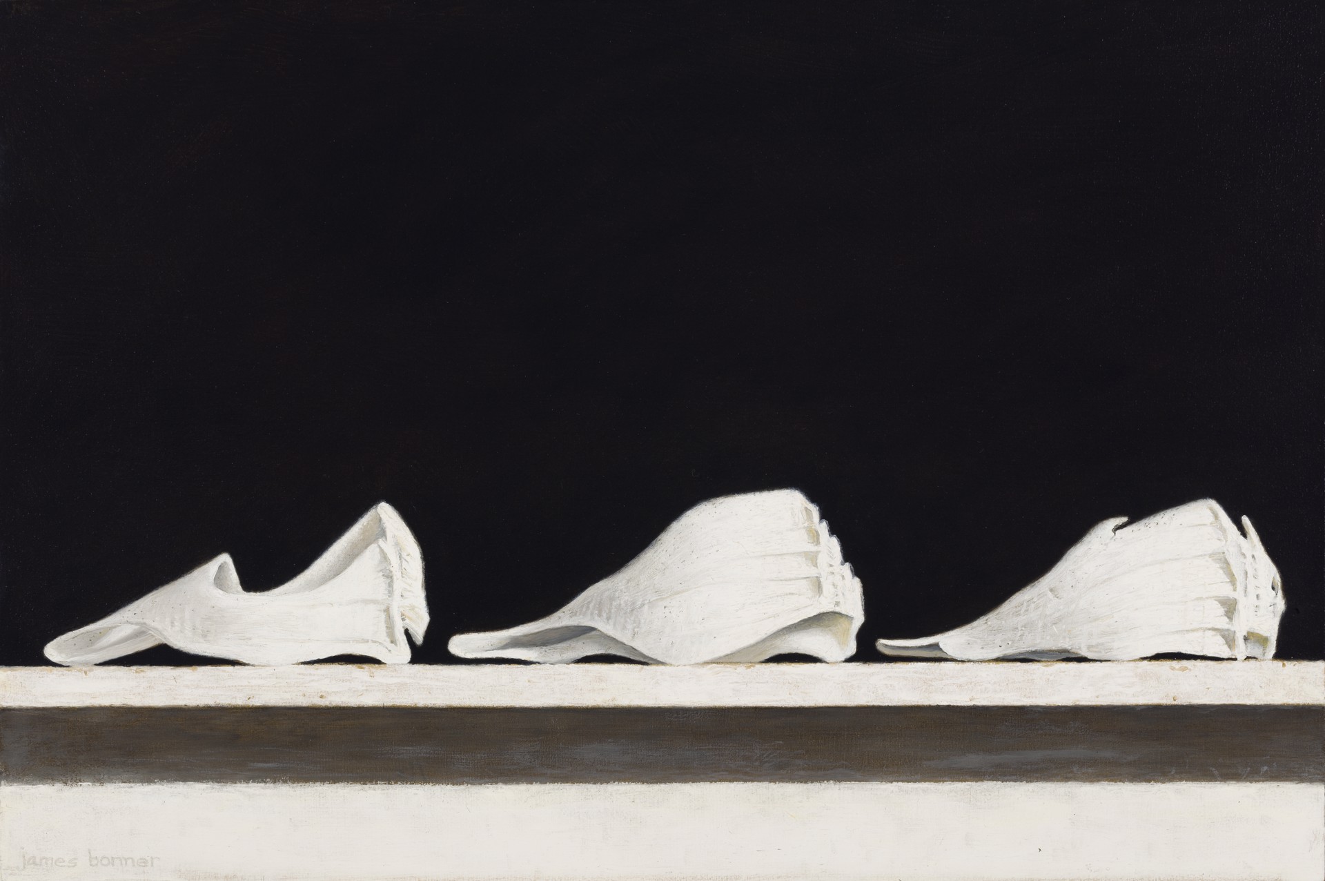 Three Worn Seashells by James Bonner