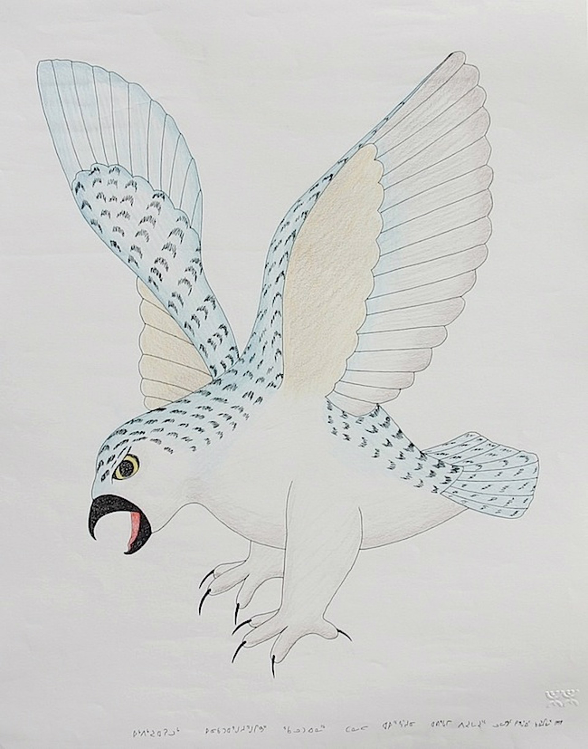 Inuit: Blue Raven by Kananginak Pootoogook