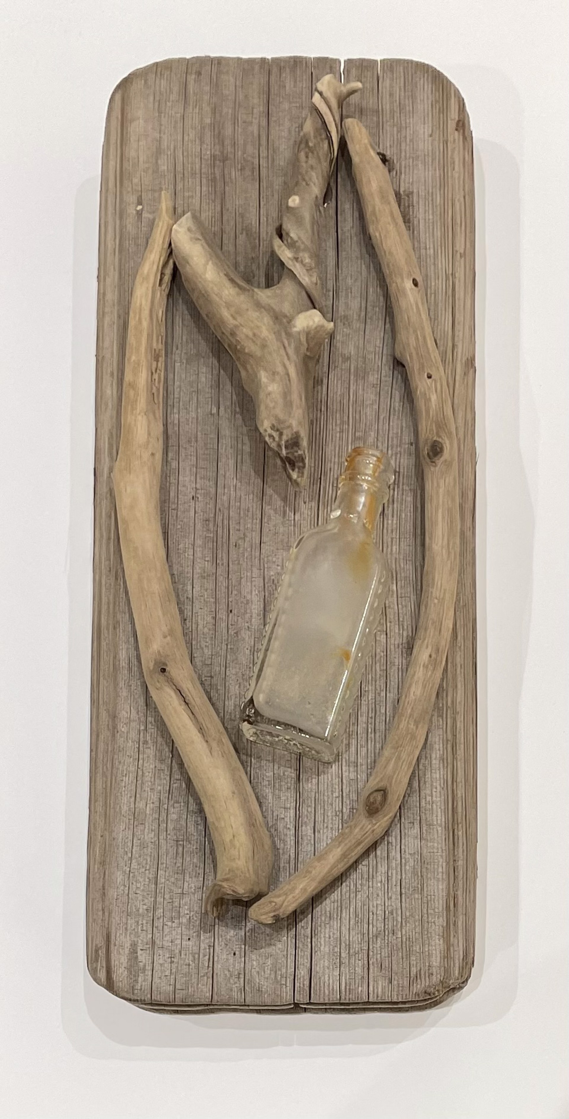 Bottled Love Driftwood Wall Art #5 by Jason Davis