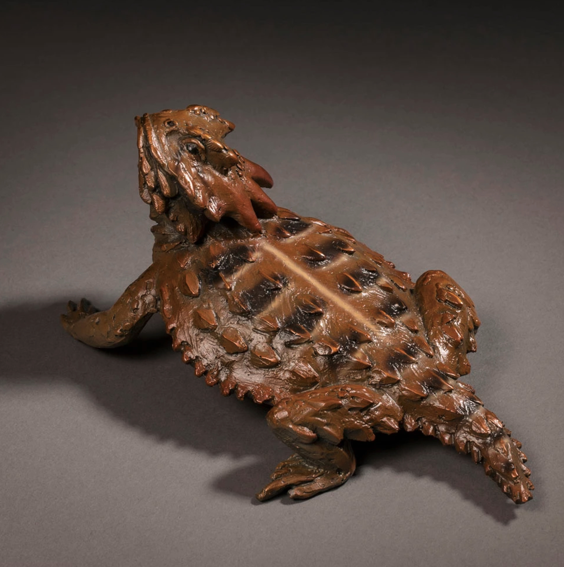 Mr. Horny Toad by Raymond Gibby