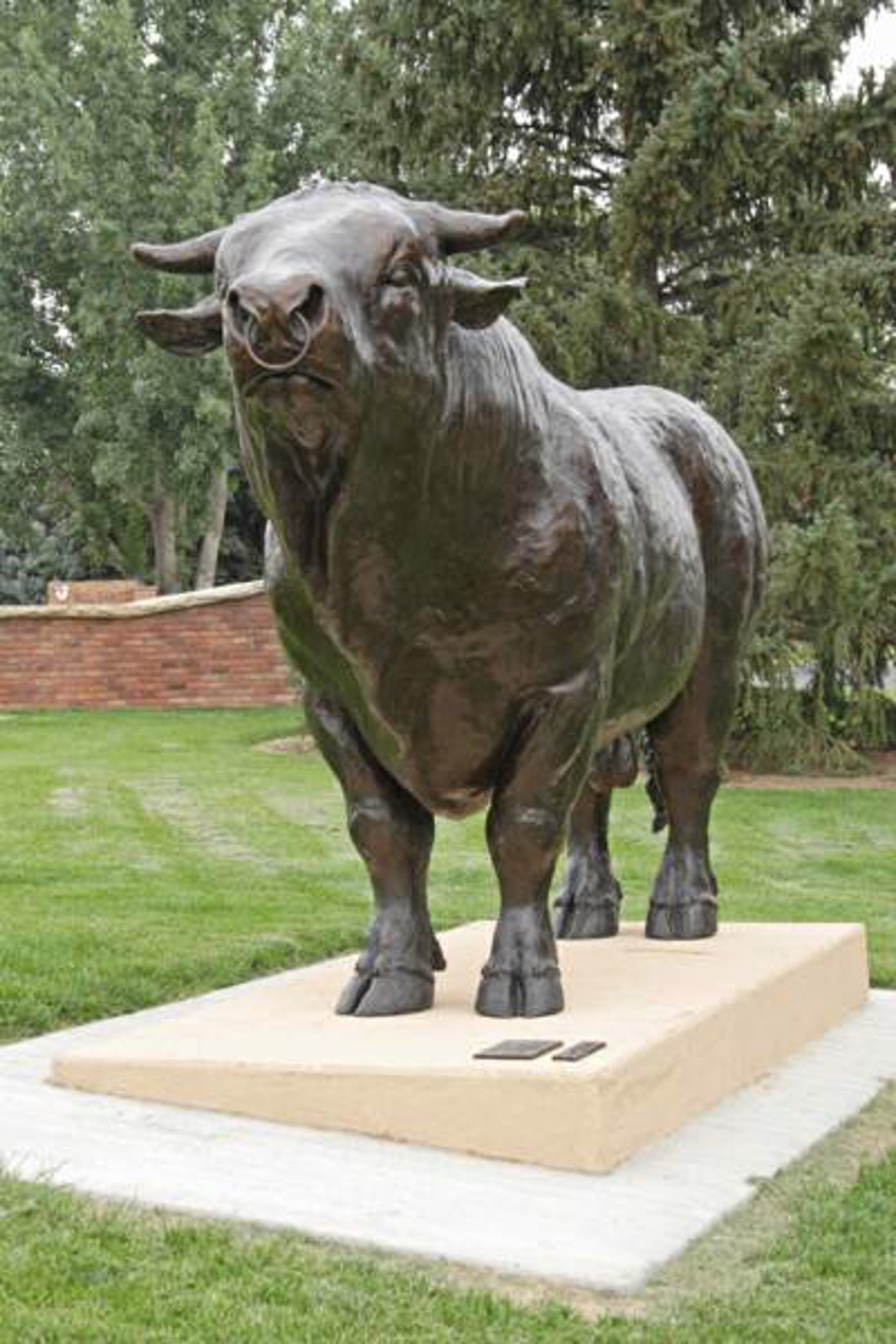 Bull Headed Life Size (Ed.5) by Daniel Glanz (sculptor)