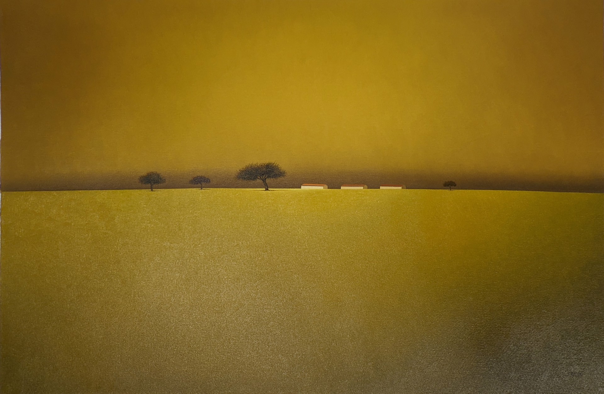 Niebla Amarilla by José Basso