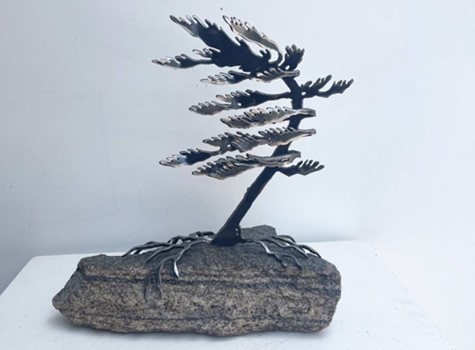 Windswept Pine 659757 by Cathy Mark