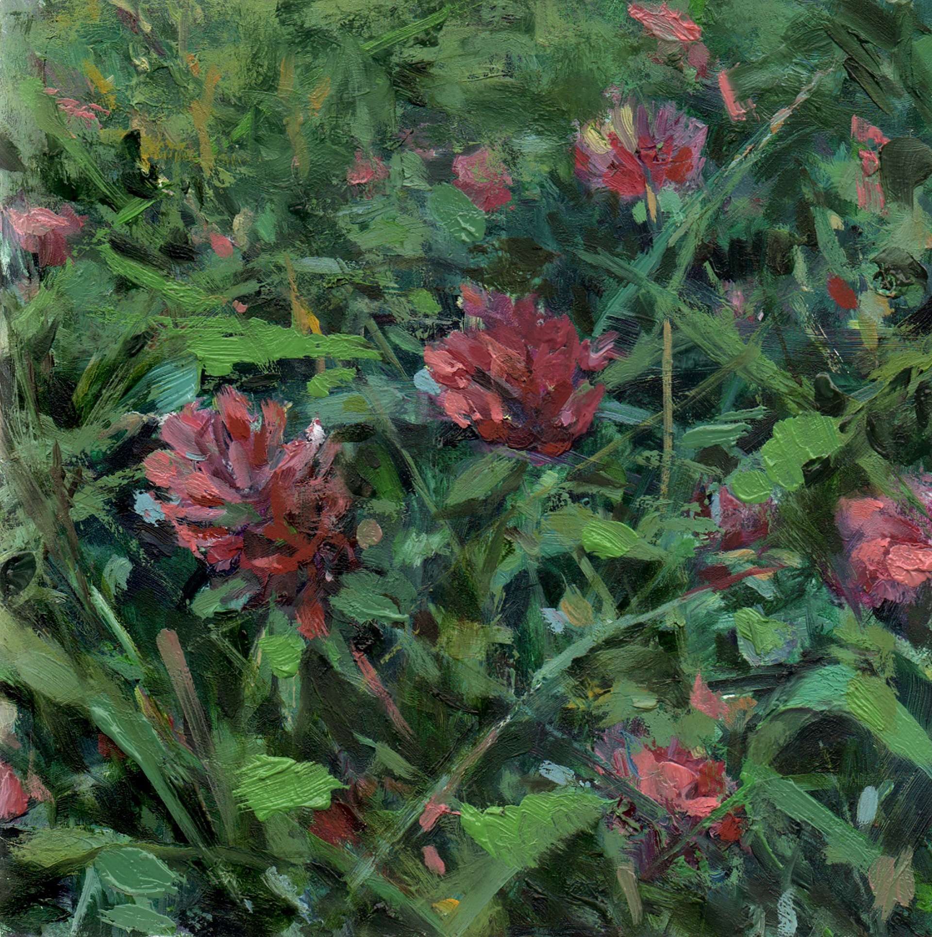 Wildflowers by Mary Flack