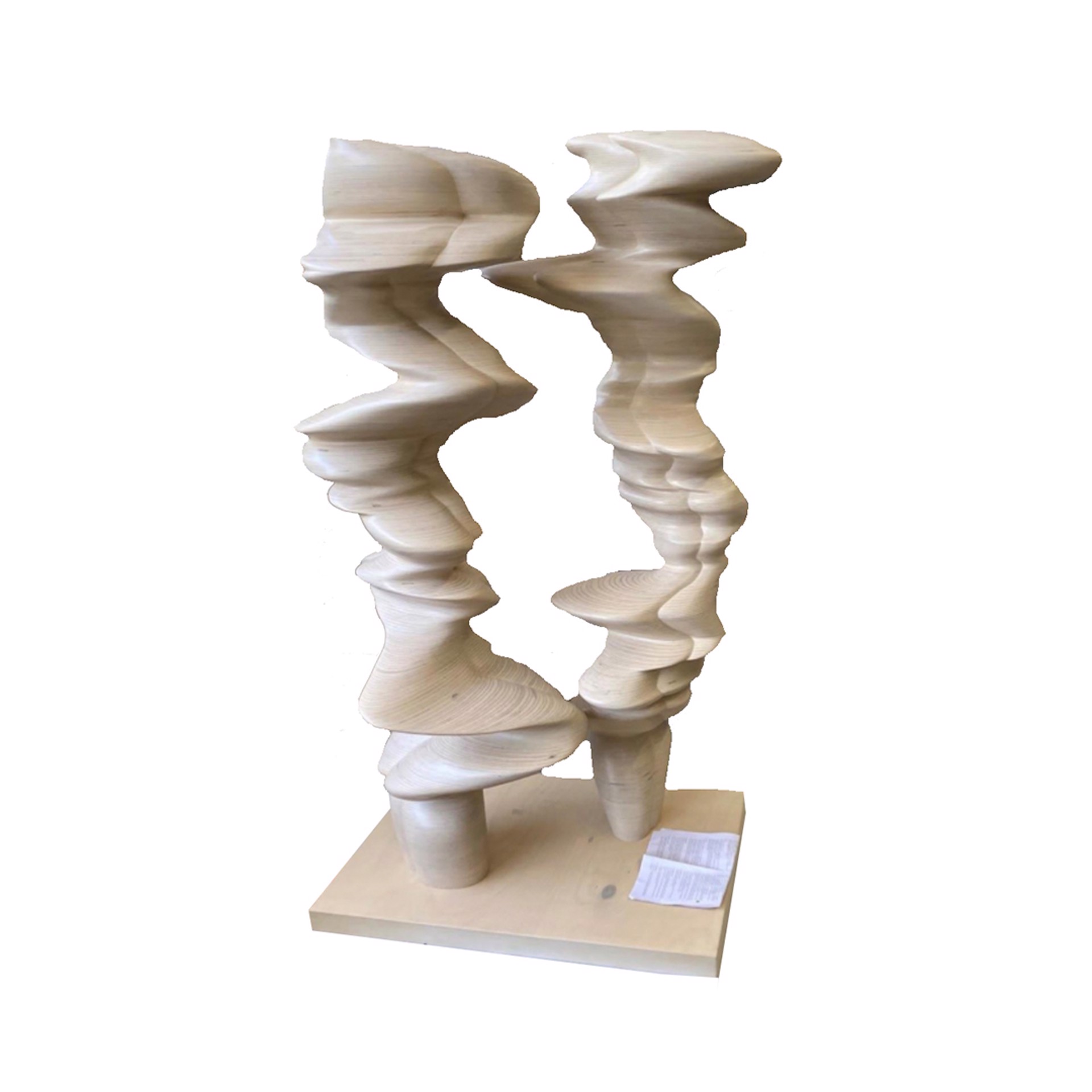 Point of View by Tony Cragg