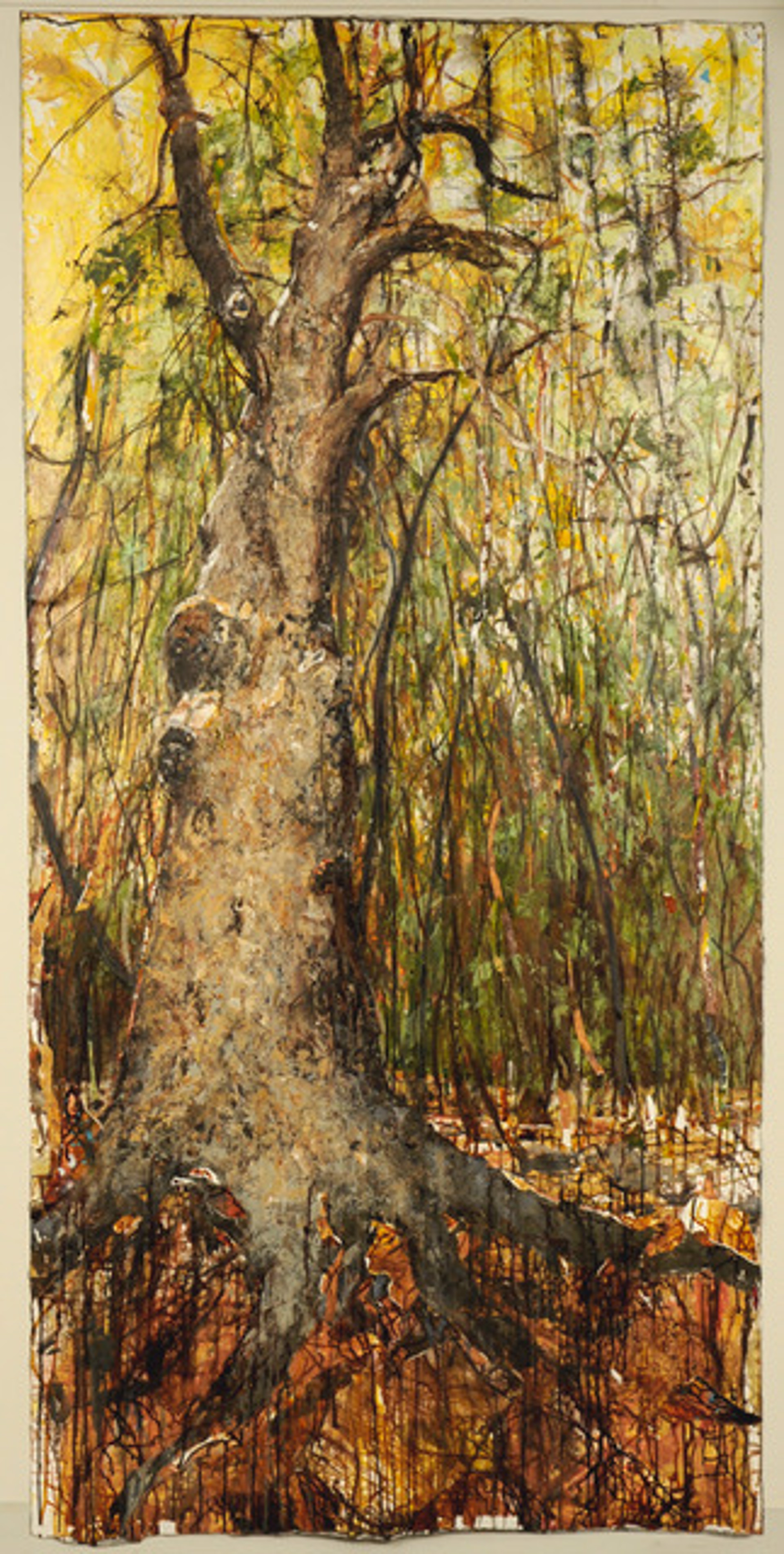 Old Tree by Brenda Cirioni