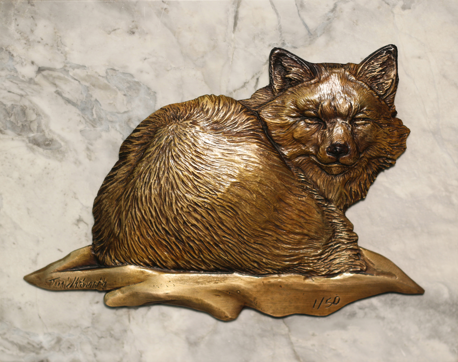 Red Fox by Tim Whitworth