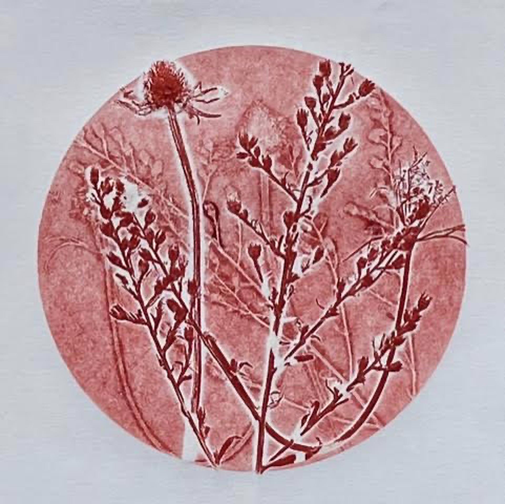 Red Meadow Circle by Anne Kelly