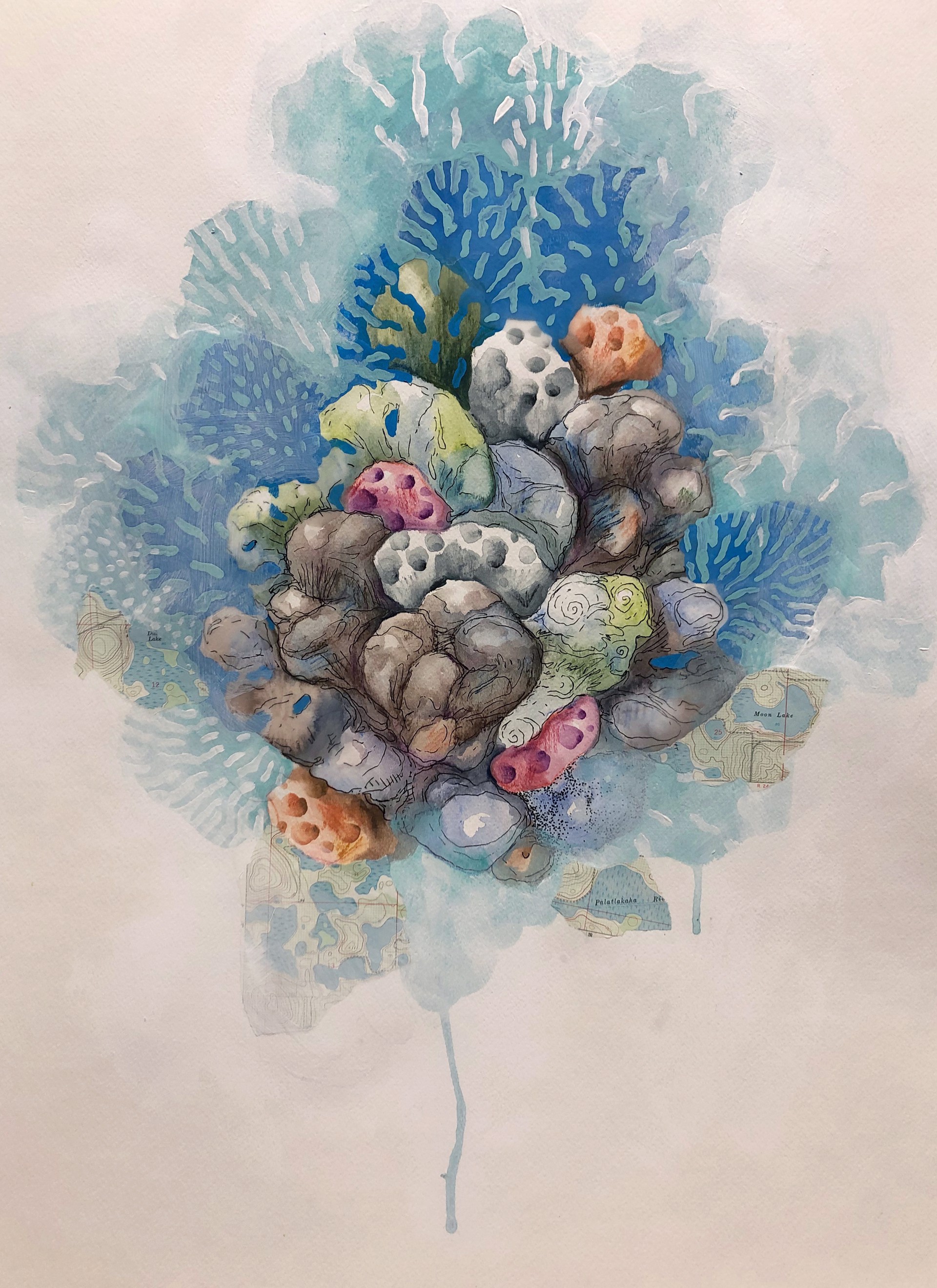 Reef Study III by Dustin Harewood