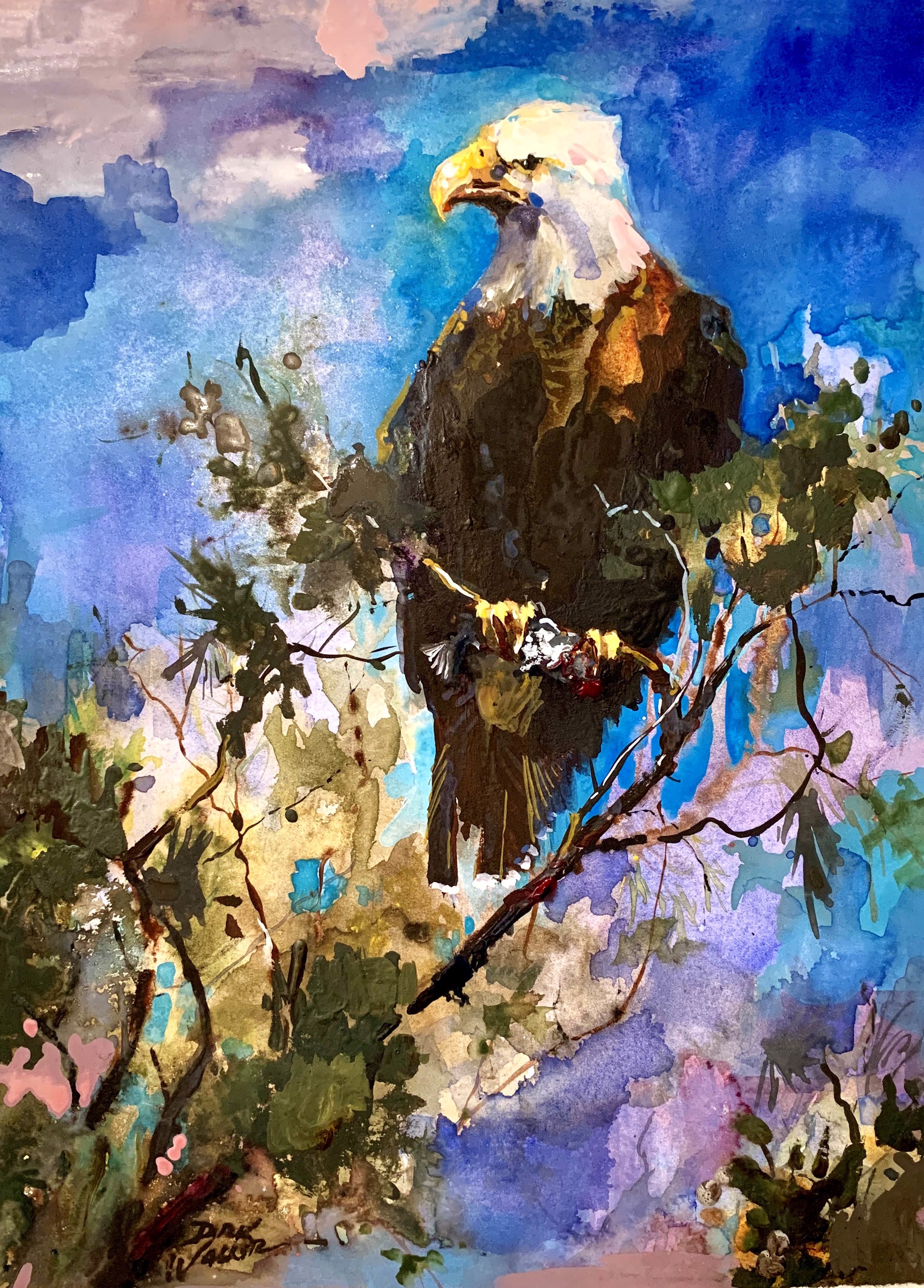 Bald Eagle by Dirk Walker