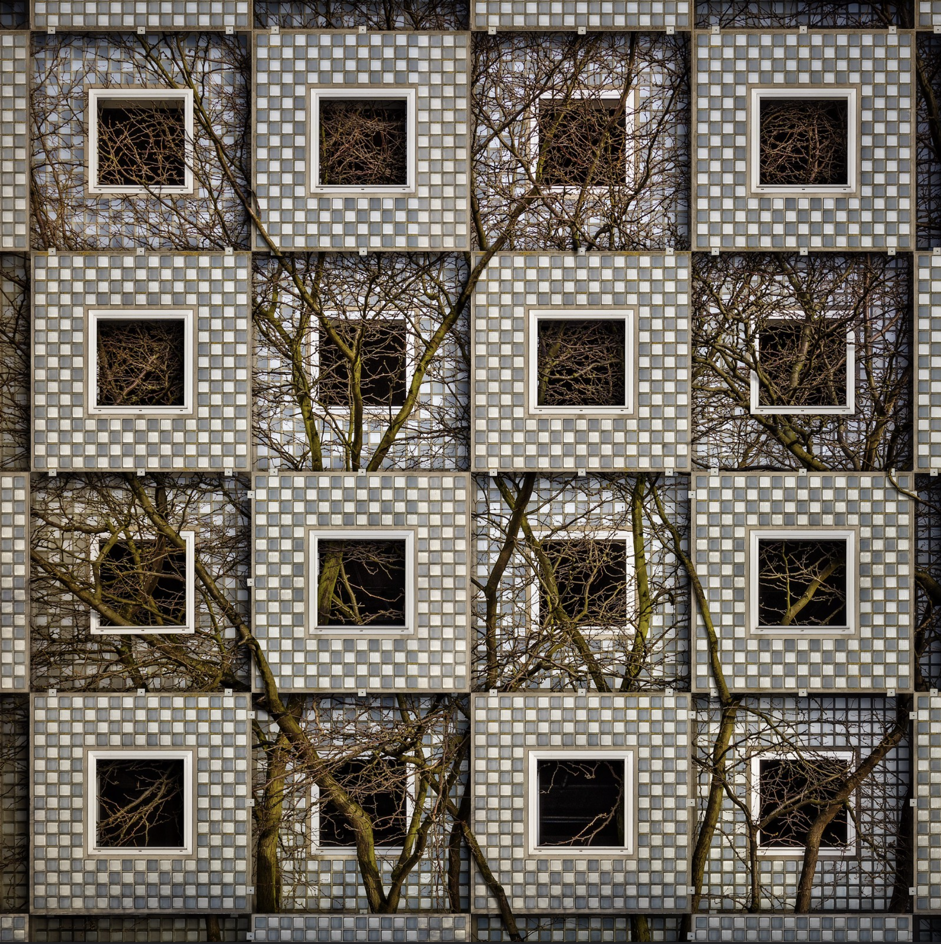 Entangled Squares by Paul Brouns